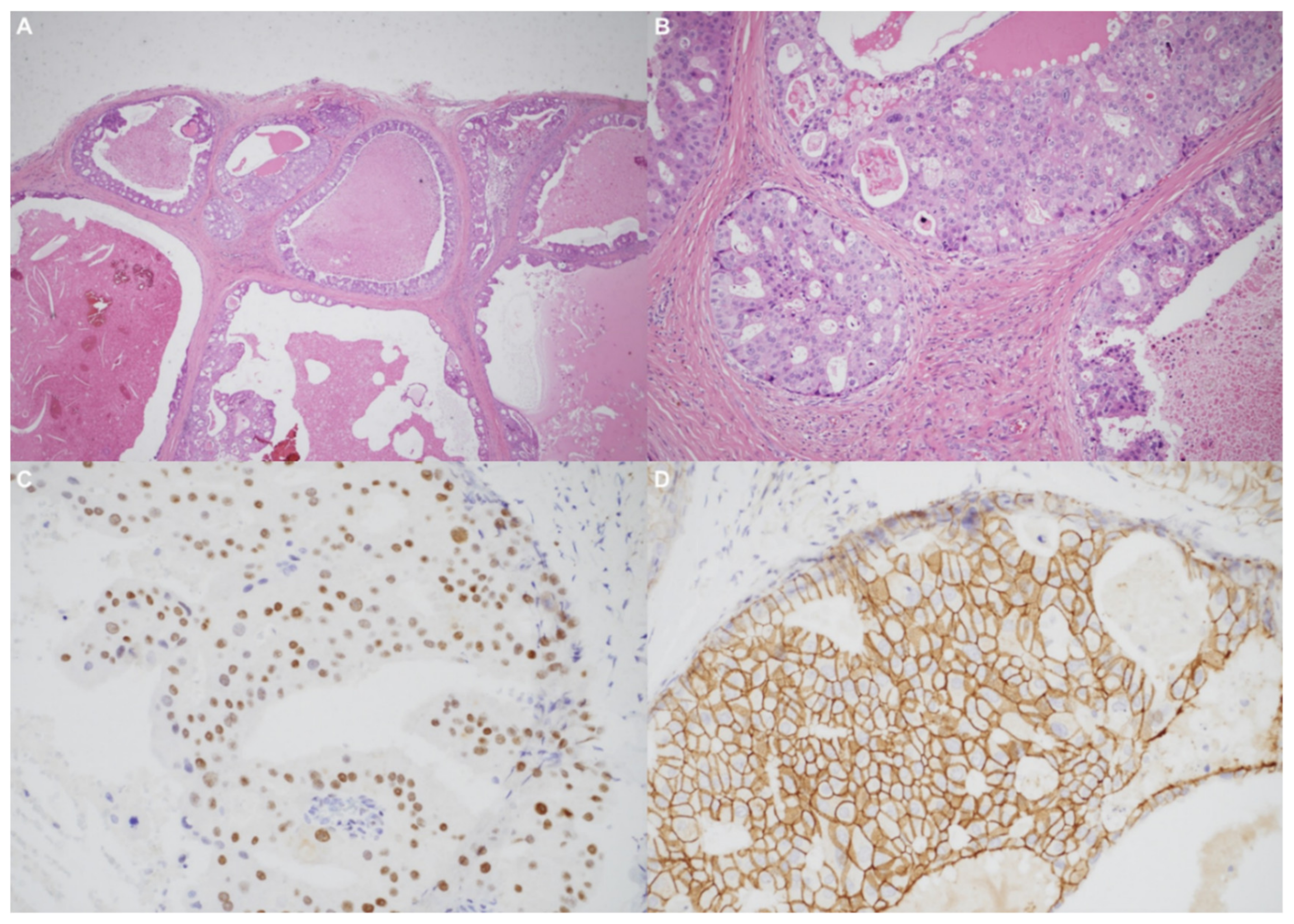 Diagnostics 11 01312 g005