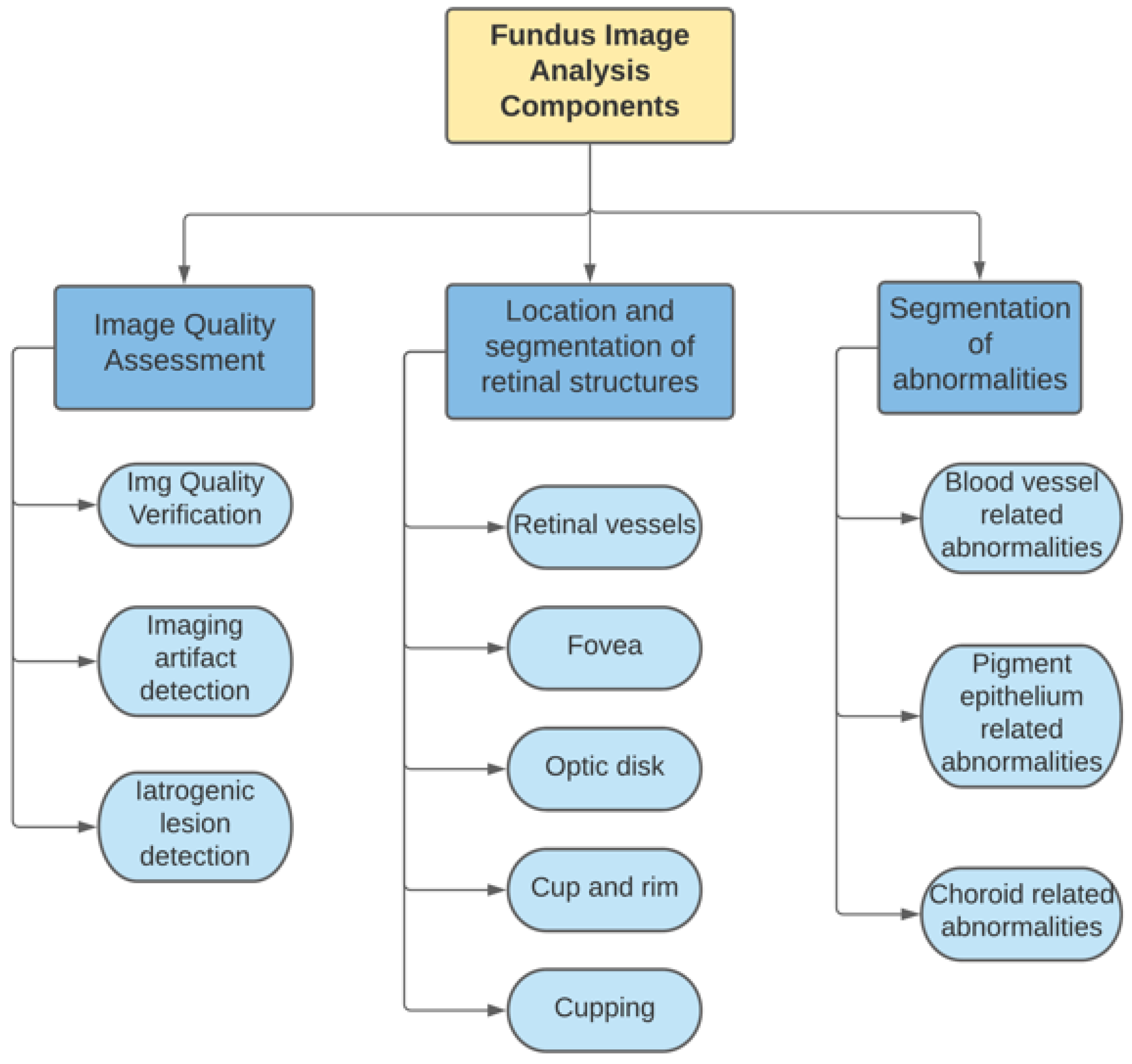 Diagnostics 11 01322 g001
