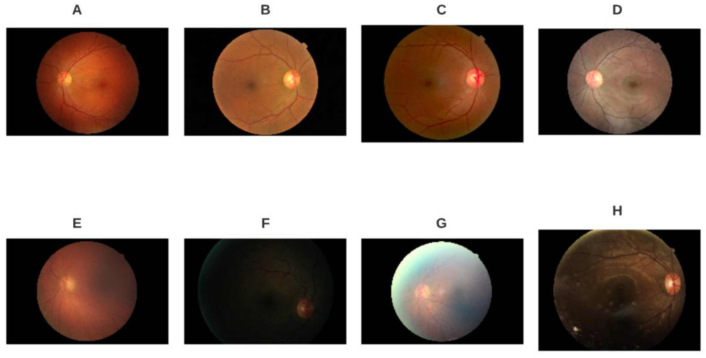 Diagnostics 11 01322 g002