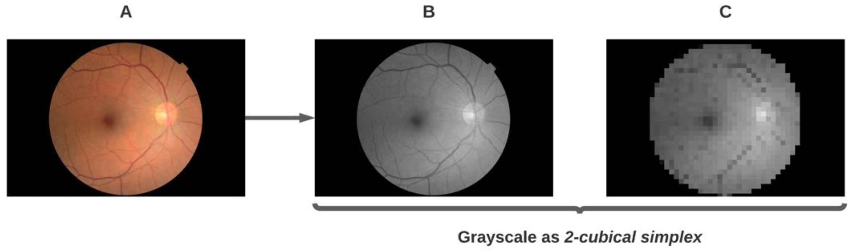 Diagnostics 11 01322 g004