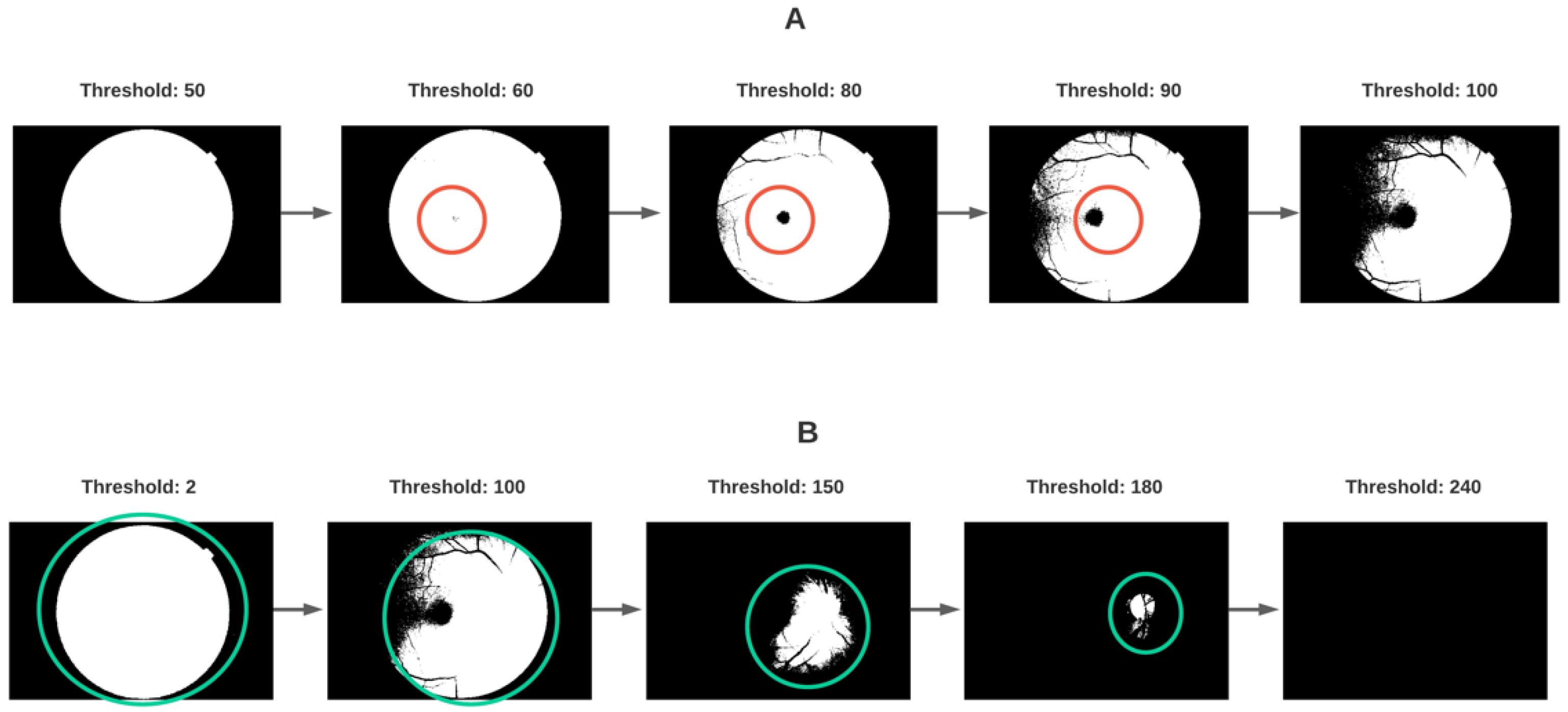 Diagnostics 11 01322 g007