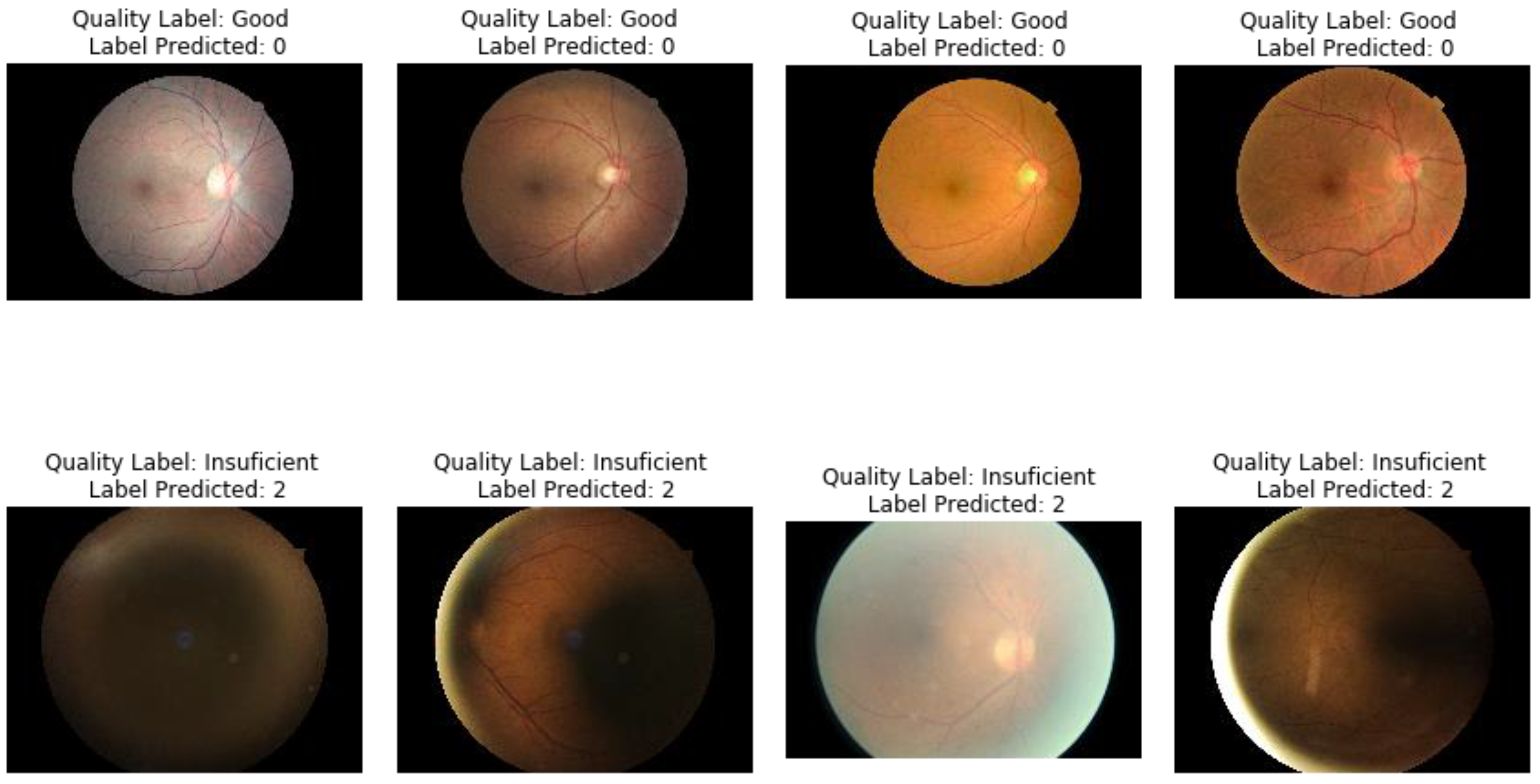 Diagnostics 11 01322 g013