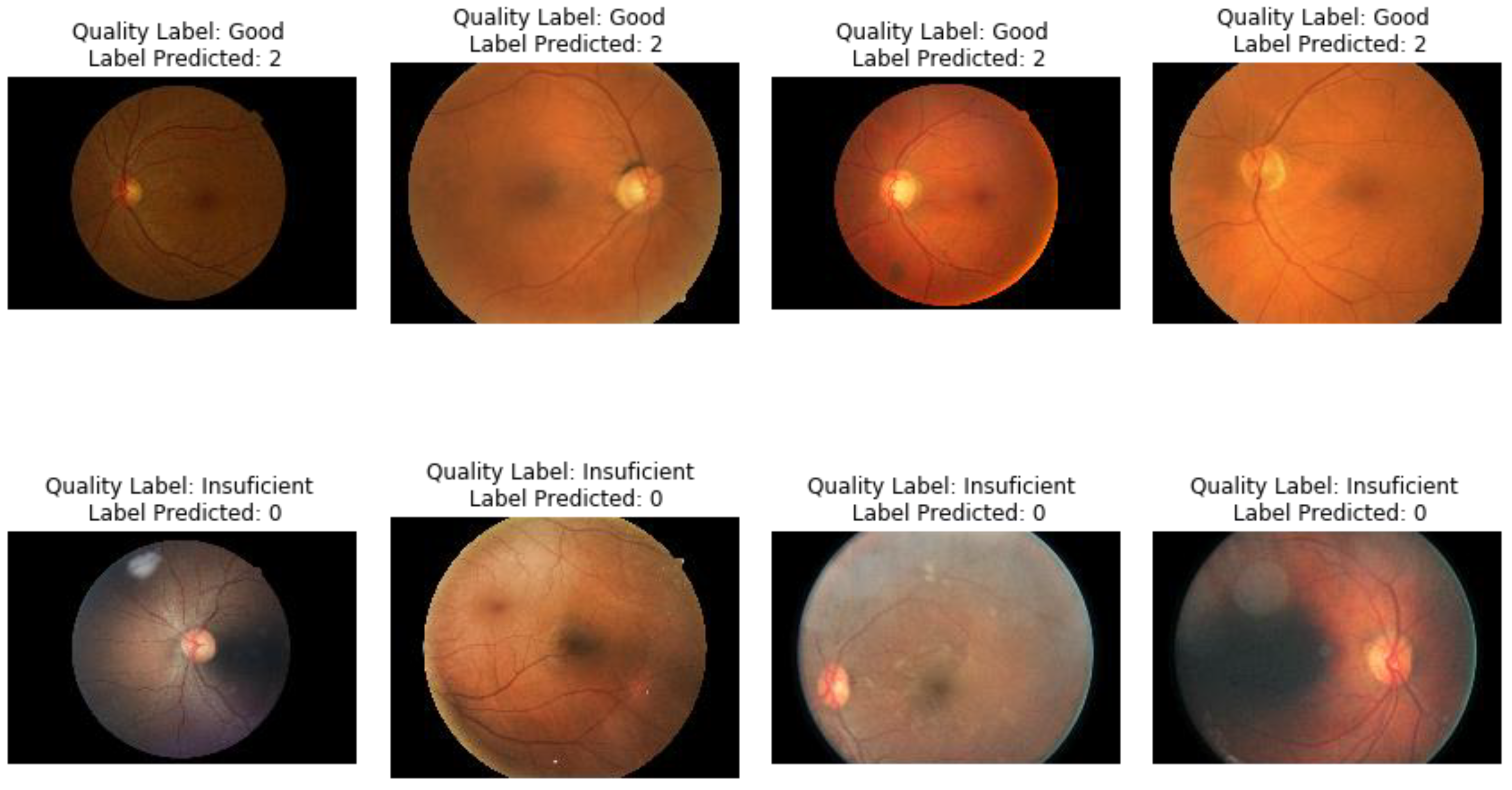 Diagnostics 11 01322 g014