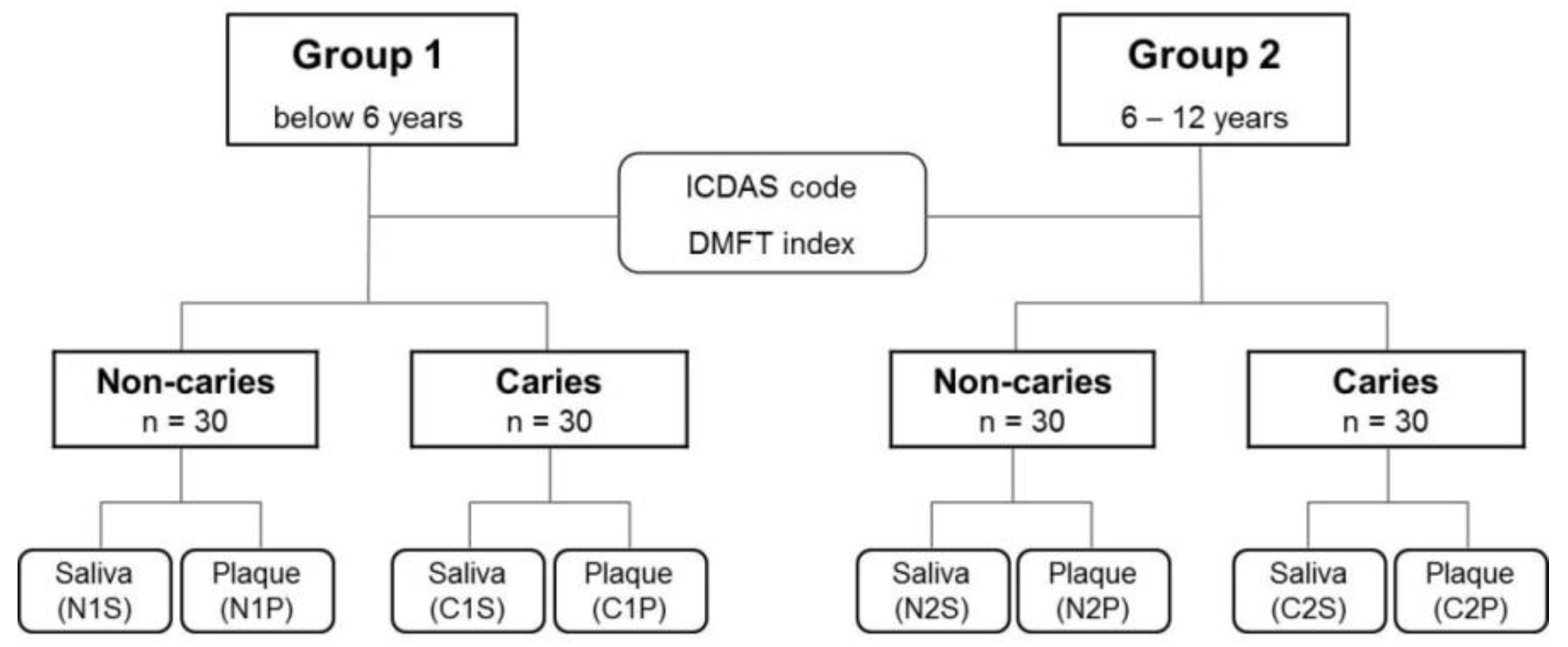 Diagnostics 11 01324 g001