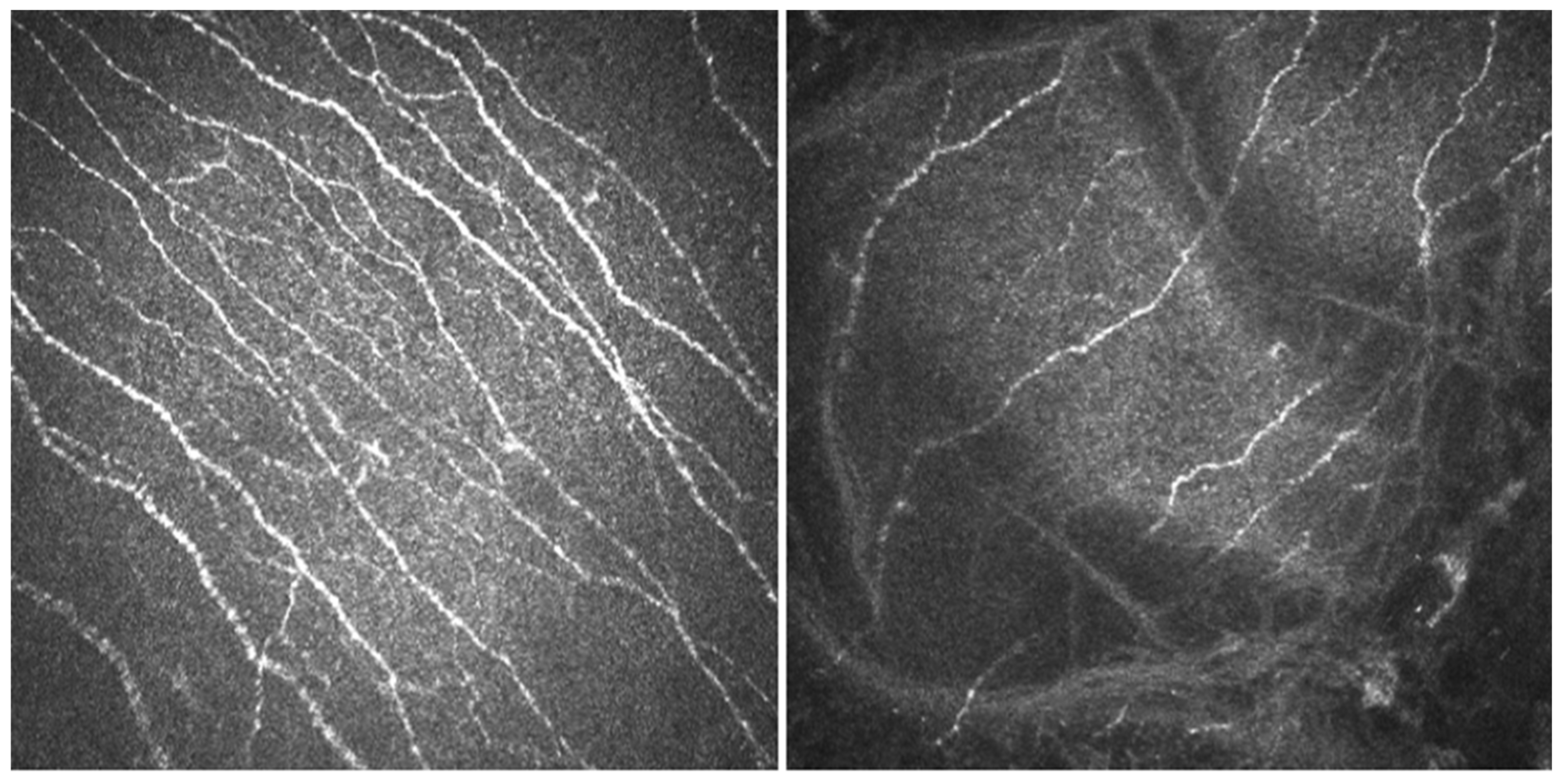 Diagnostics 11 01326 g001