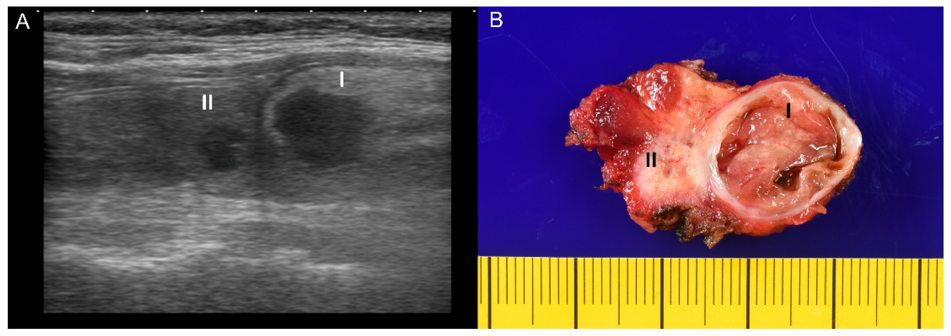 Diagnostics 11 01334 g001