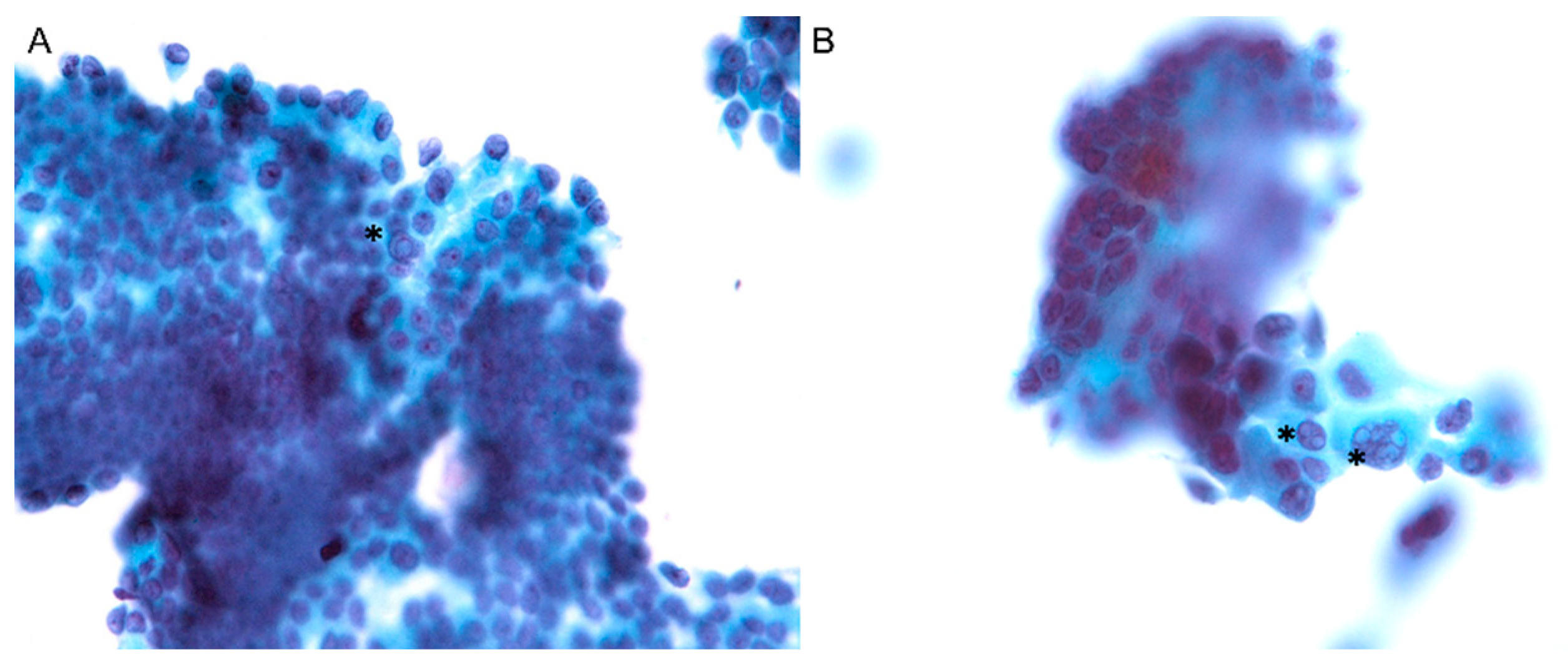 Diagnostics 11 01334 g002