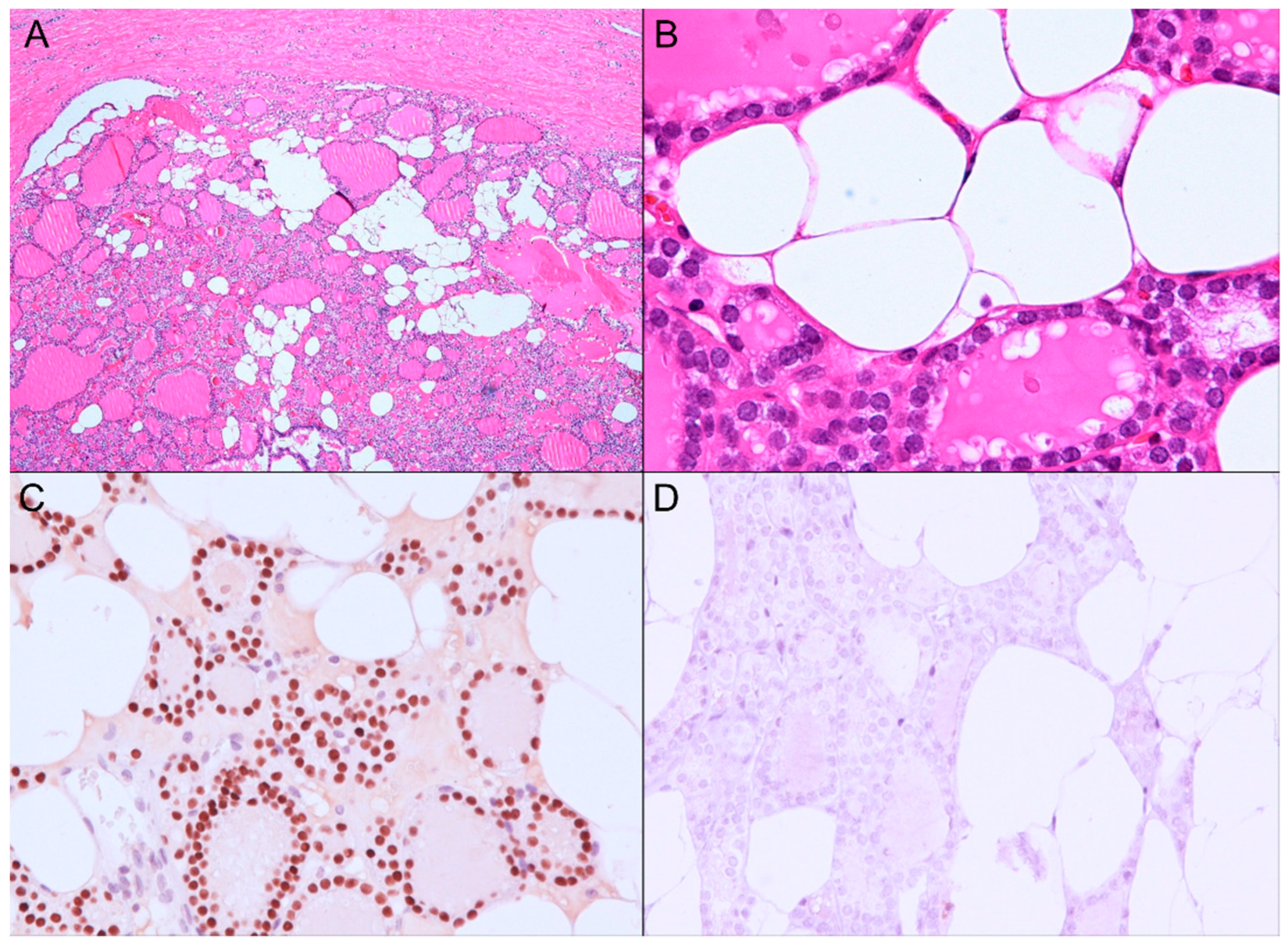 Diagnostics 11 01334 g003