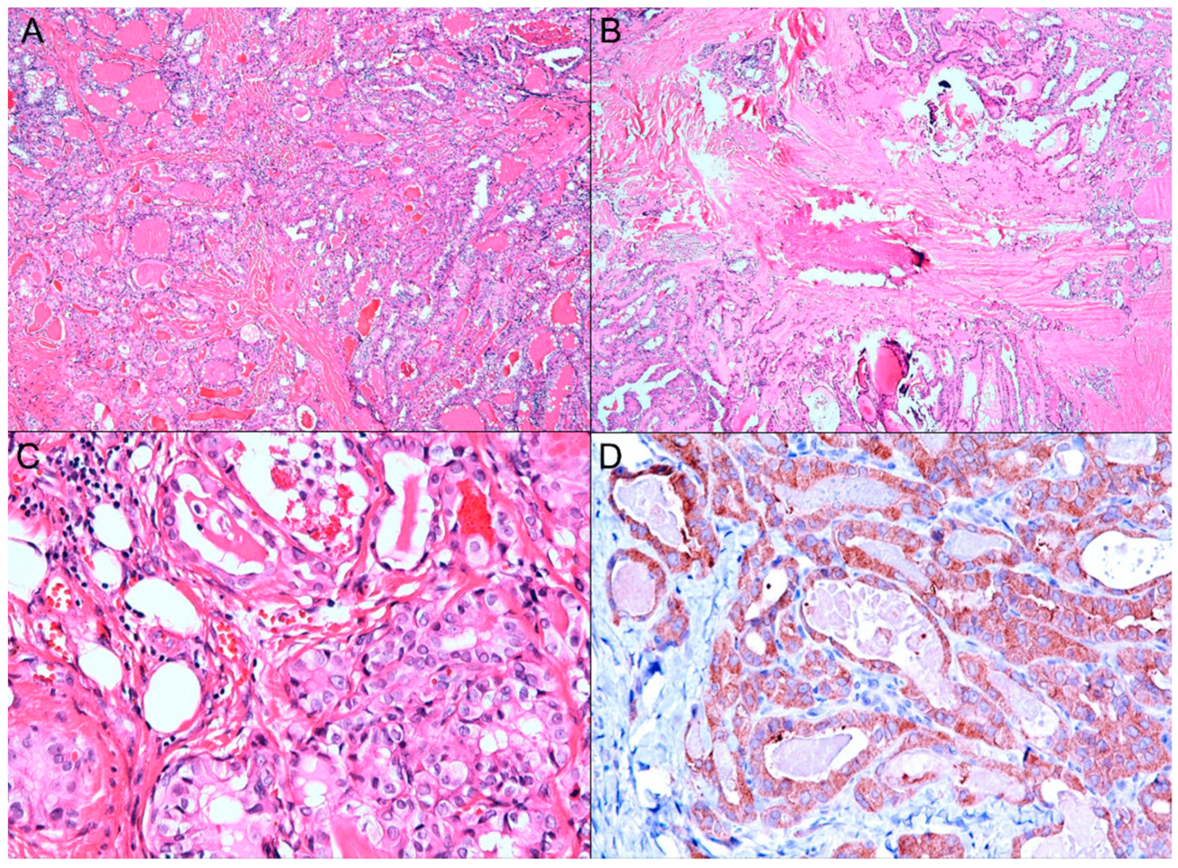 Diagnostics 11 01334 g004