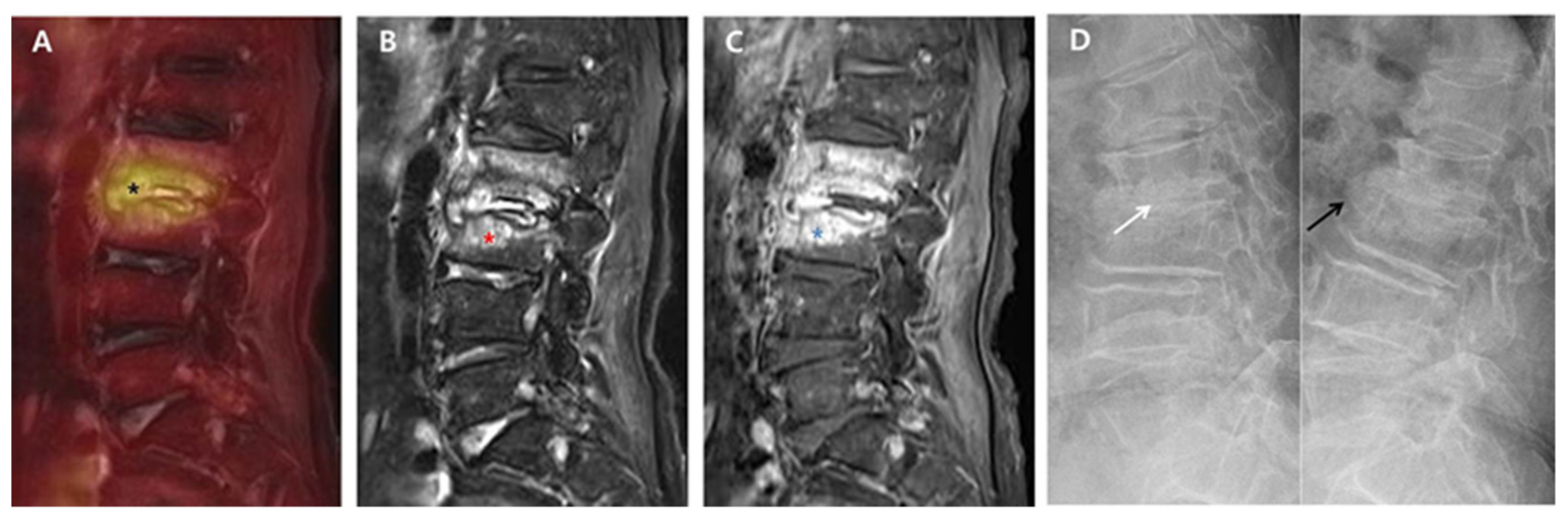Diagnostics 11 01349 g001