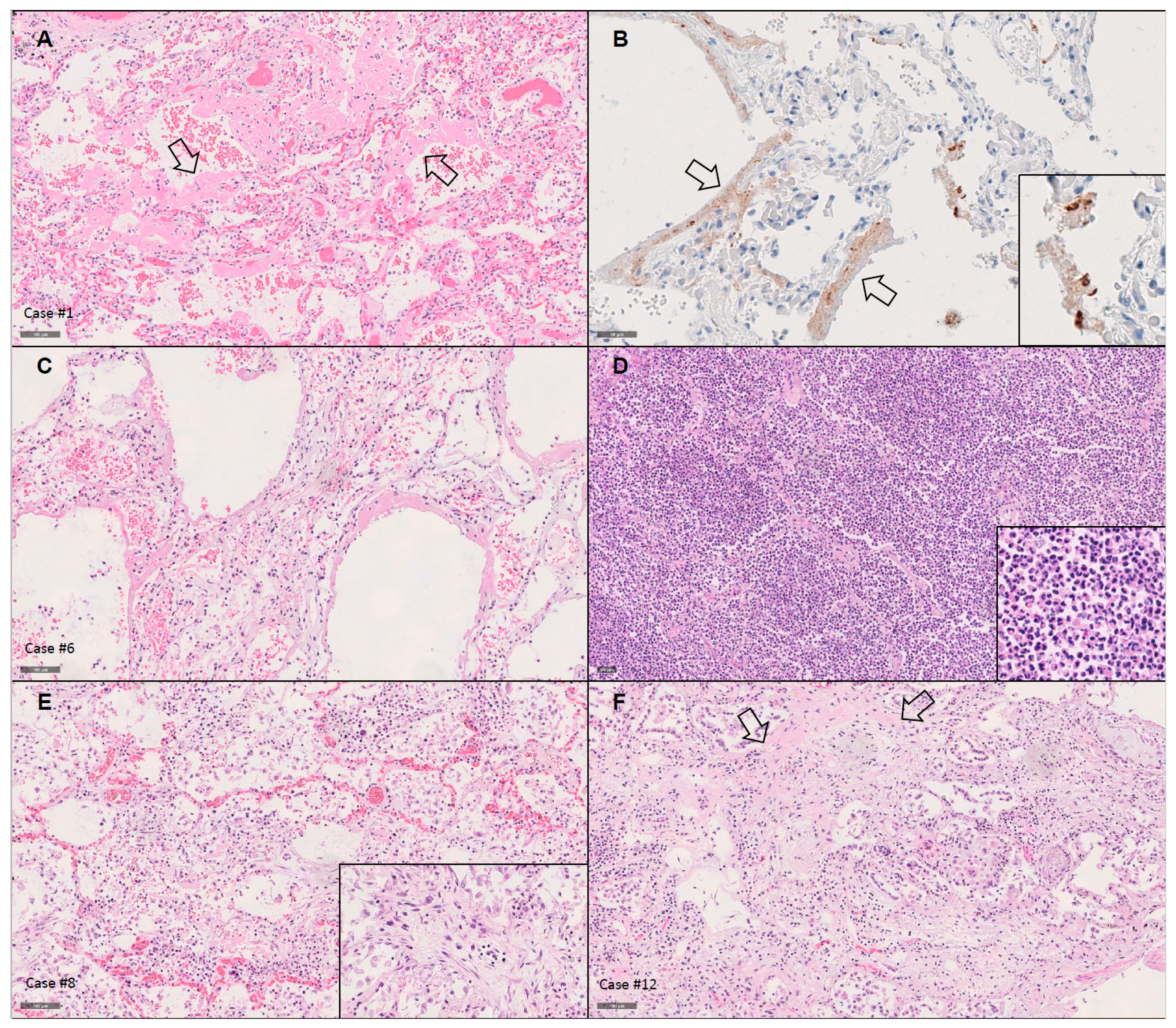 Diagnostics 11 01357 g001