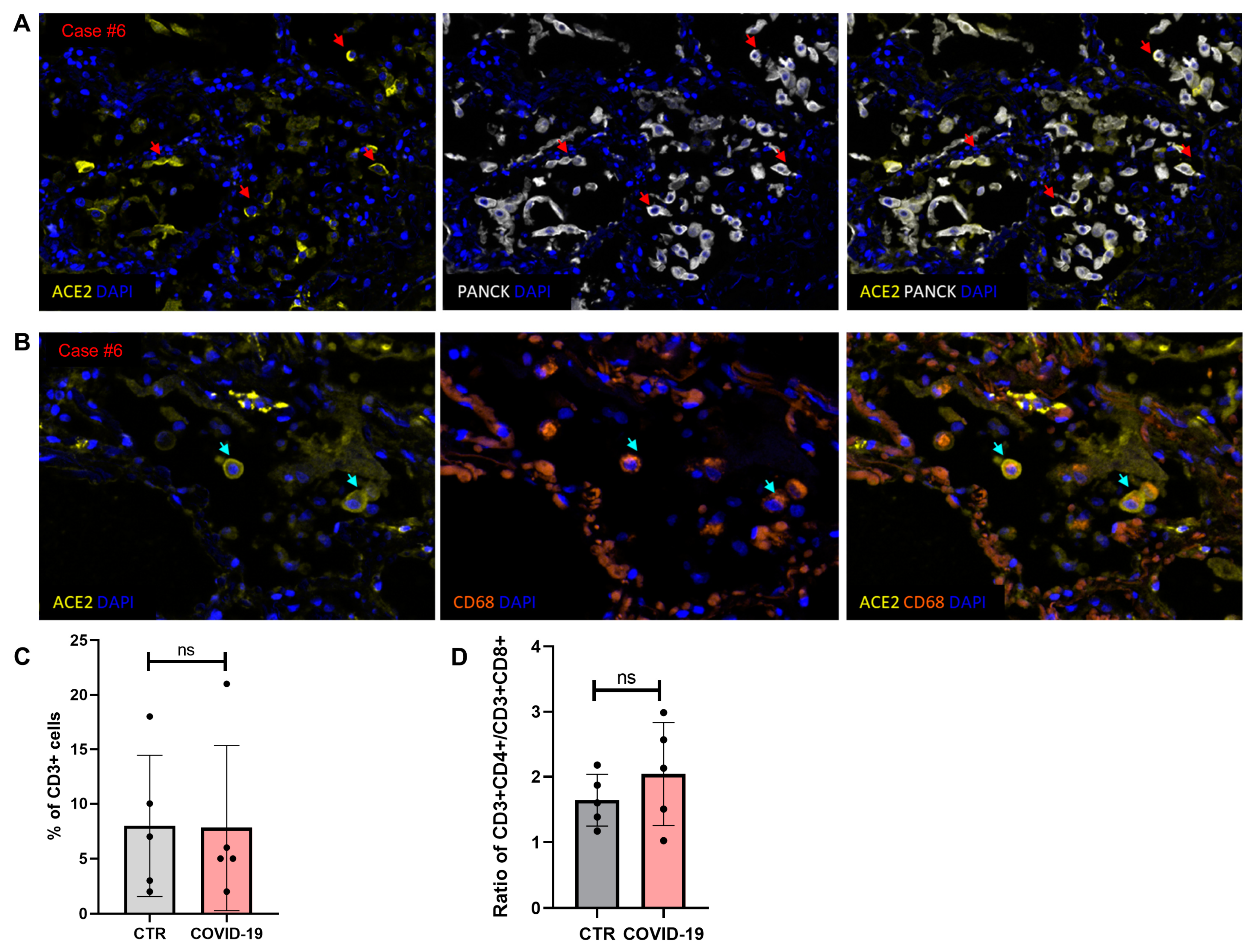 Diagnostics 11 01357 g002