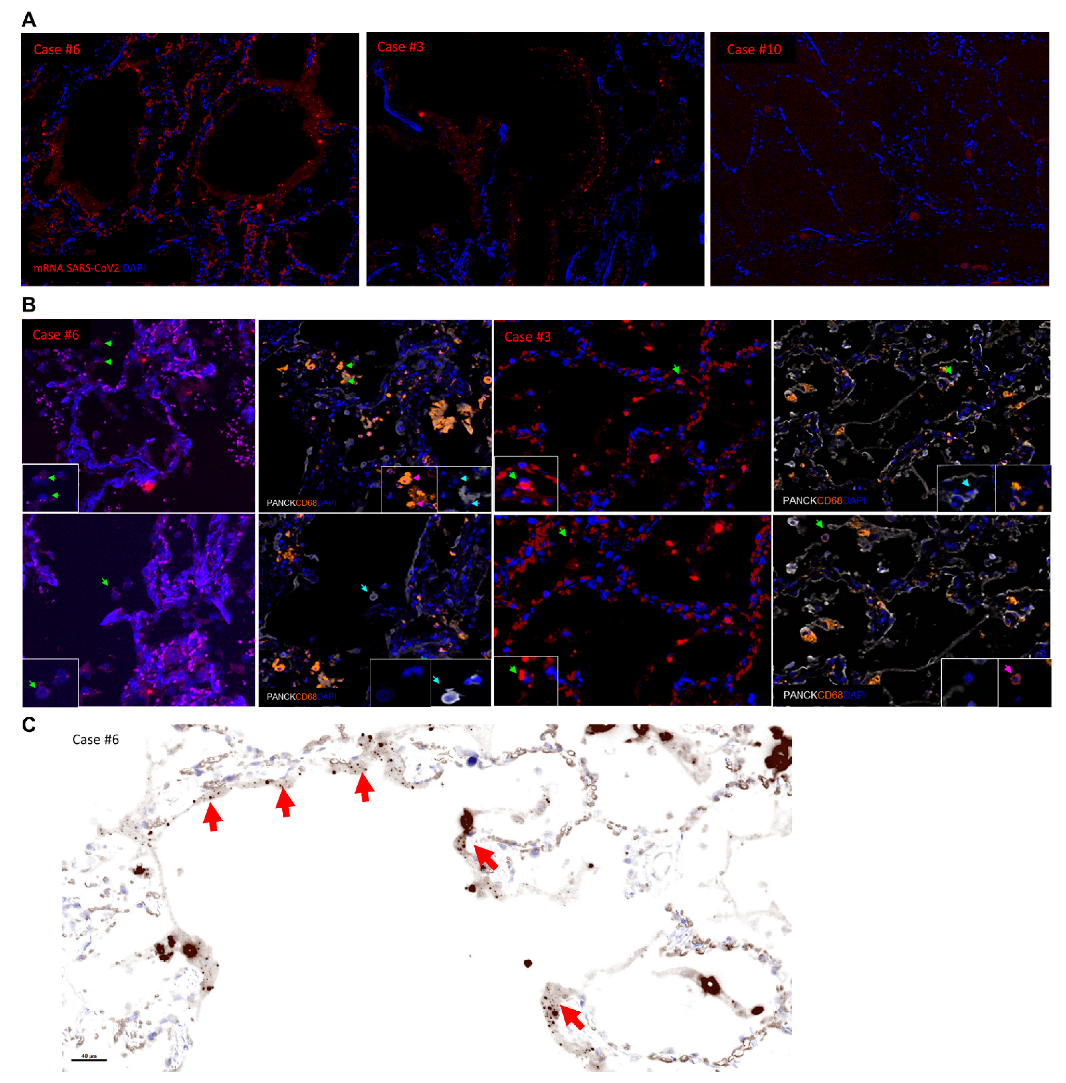 Diagnostics 11 01357 g003
