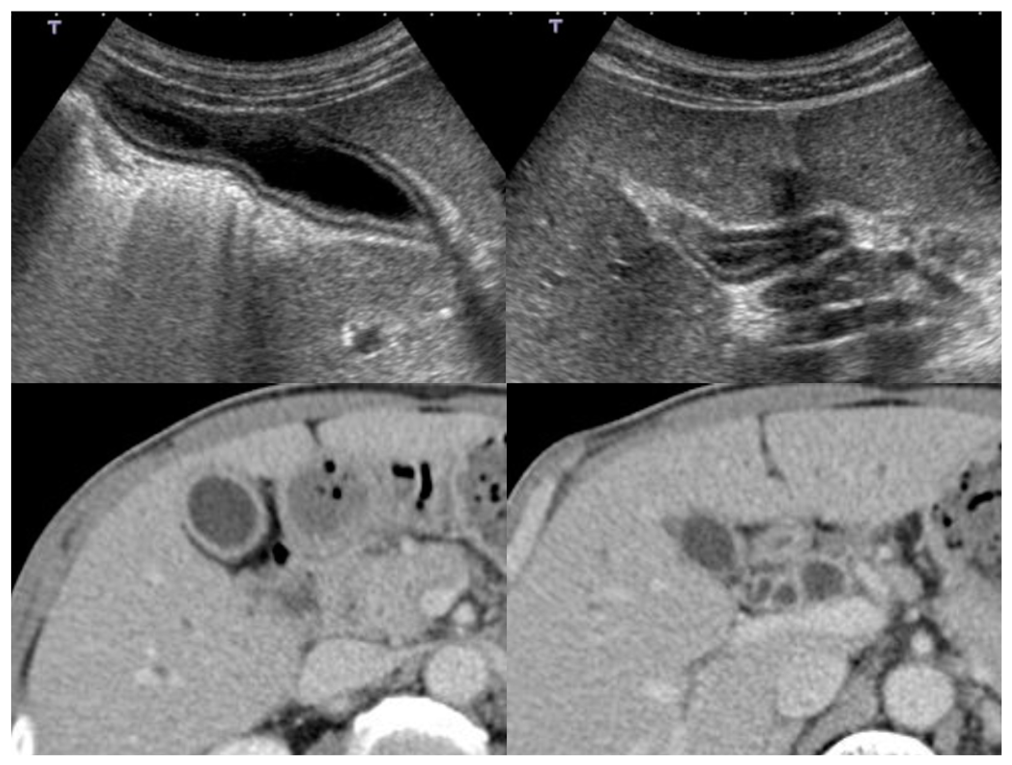 Diagnostics 11 01358 g002
