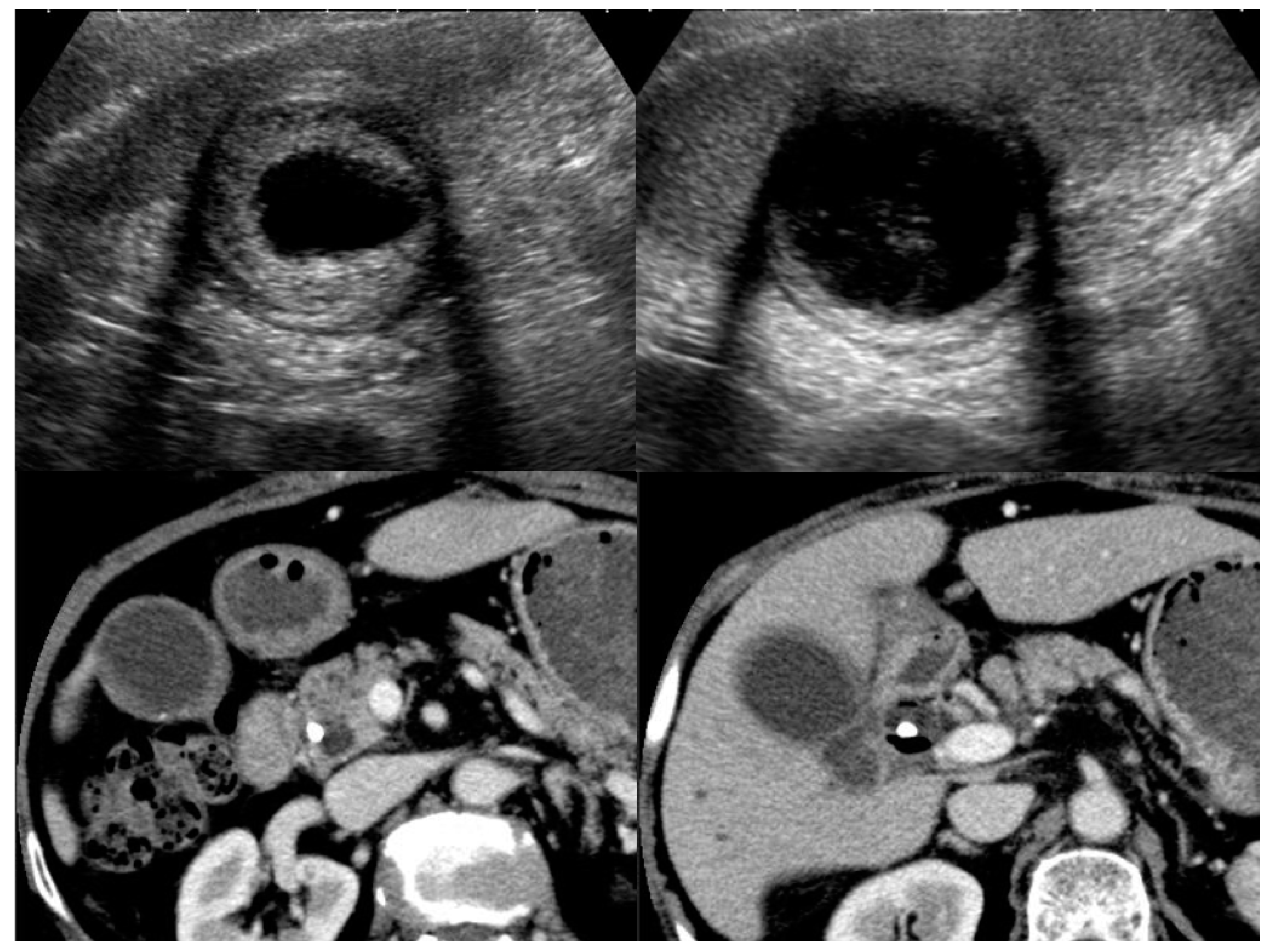 Diagnostics 11 01358 g004