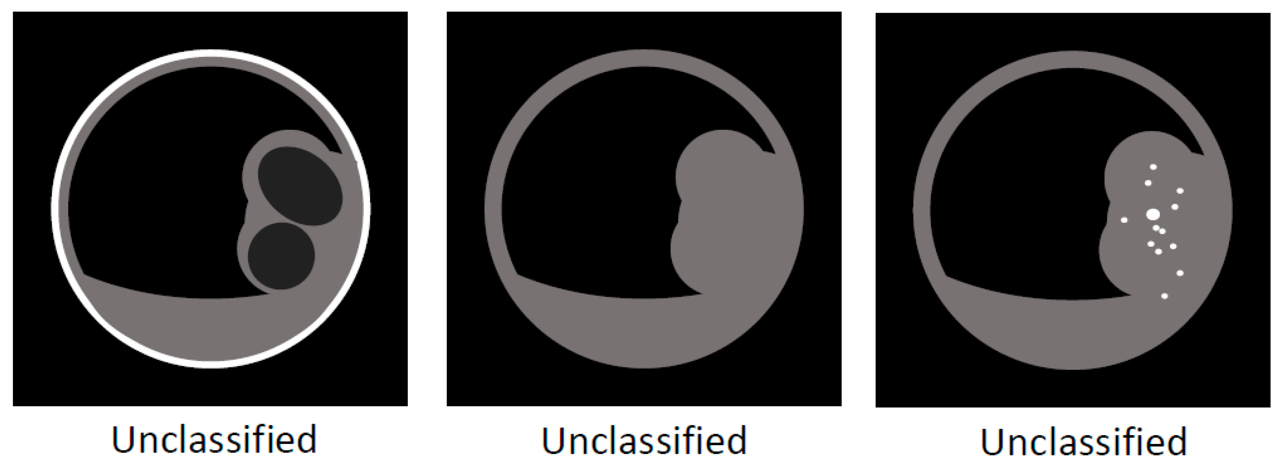 Diagnostics 11 01358 g012