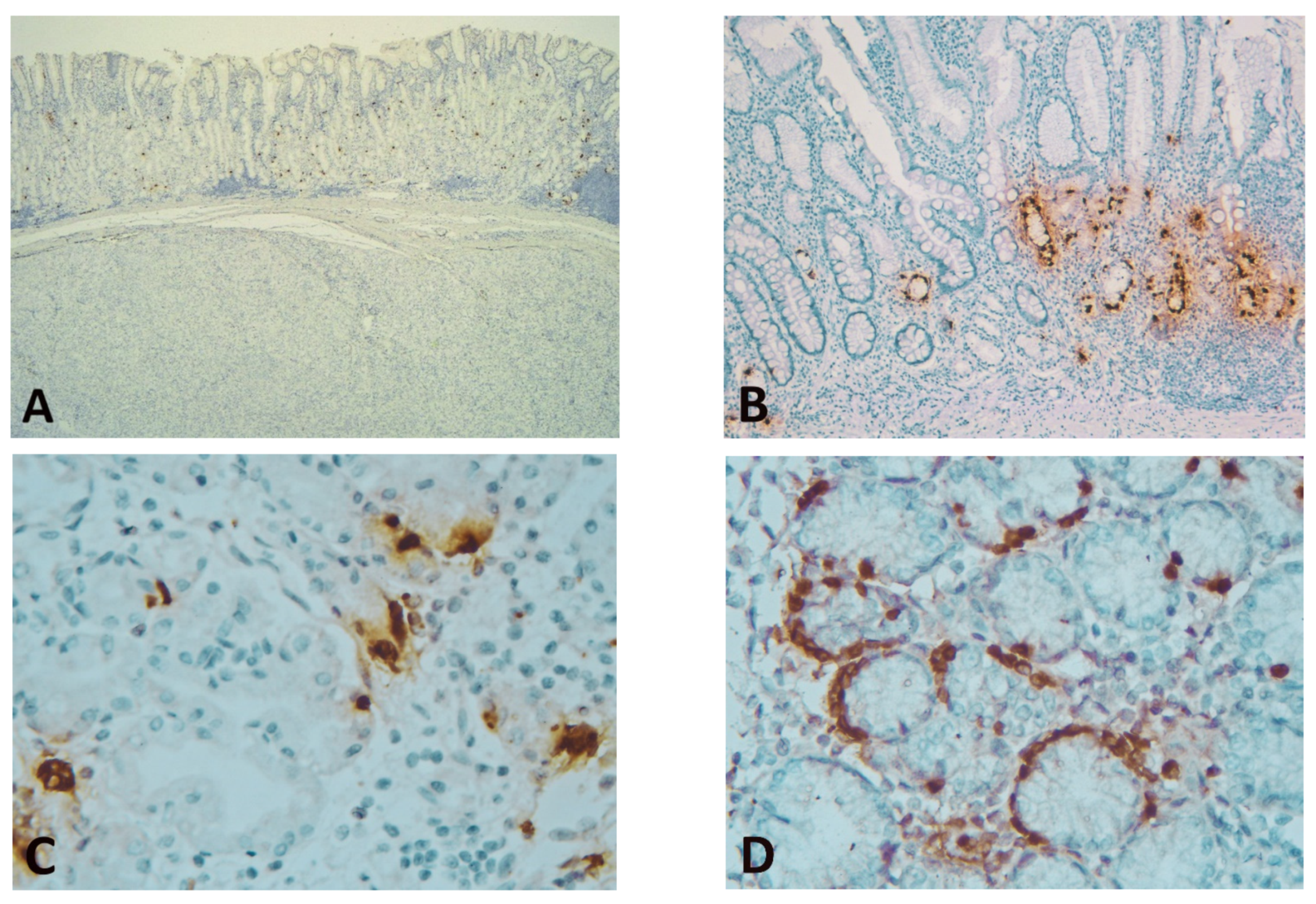 Diagnostics 11 01361 g001 Diagnostics 11 01361 g001
