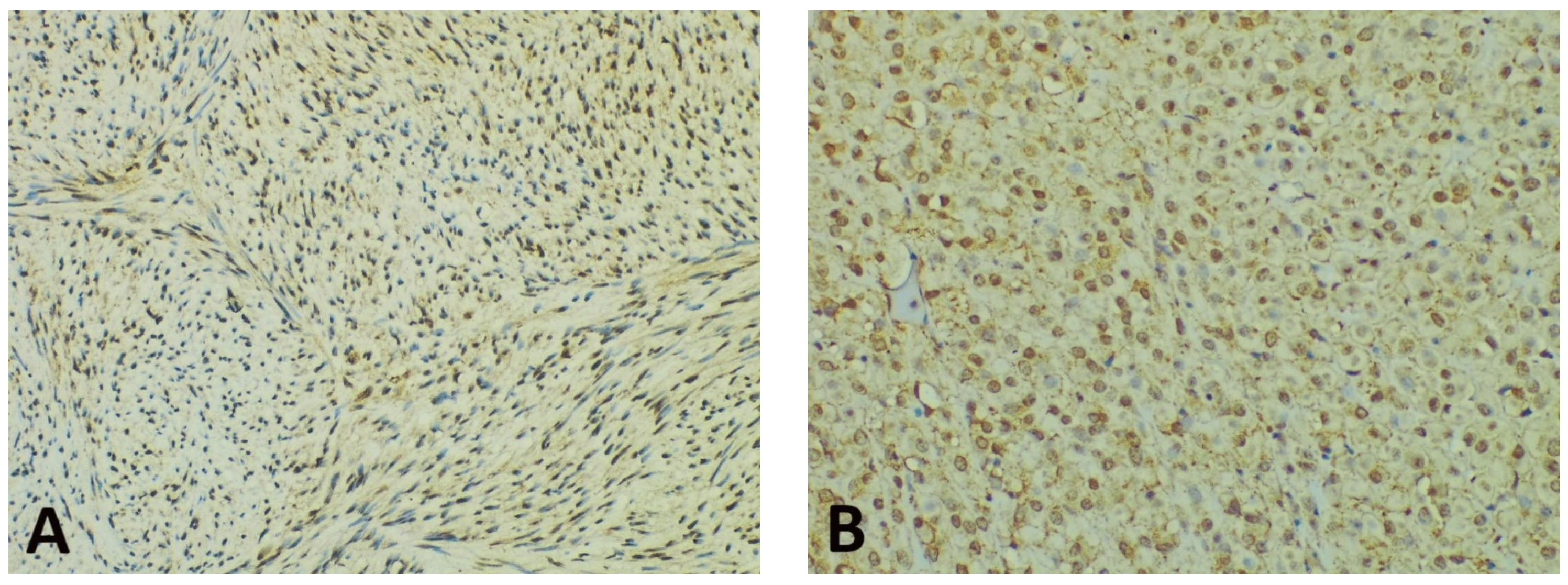 Diagnostics 11 01361 g003a Diagnostics 11 01361 g003a