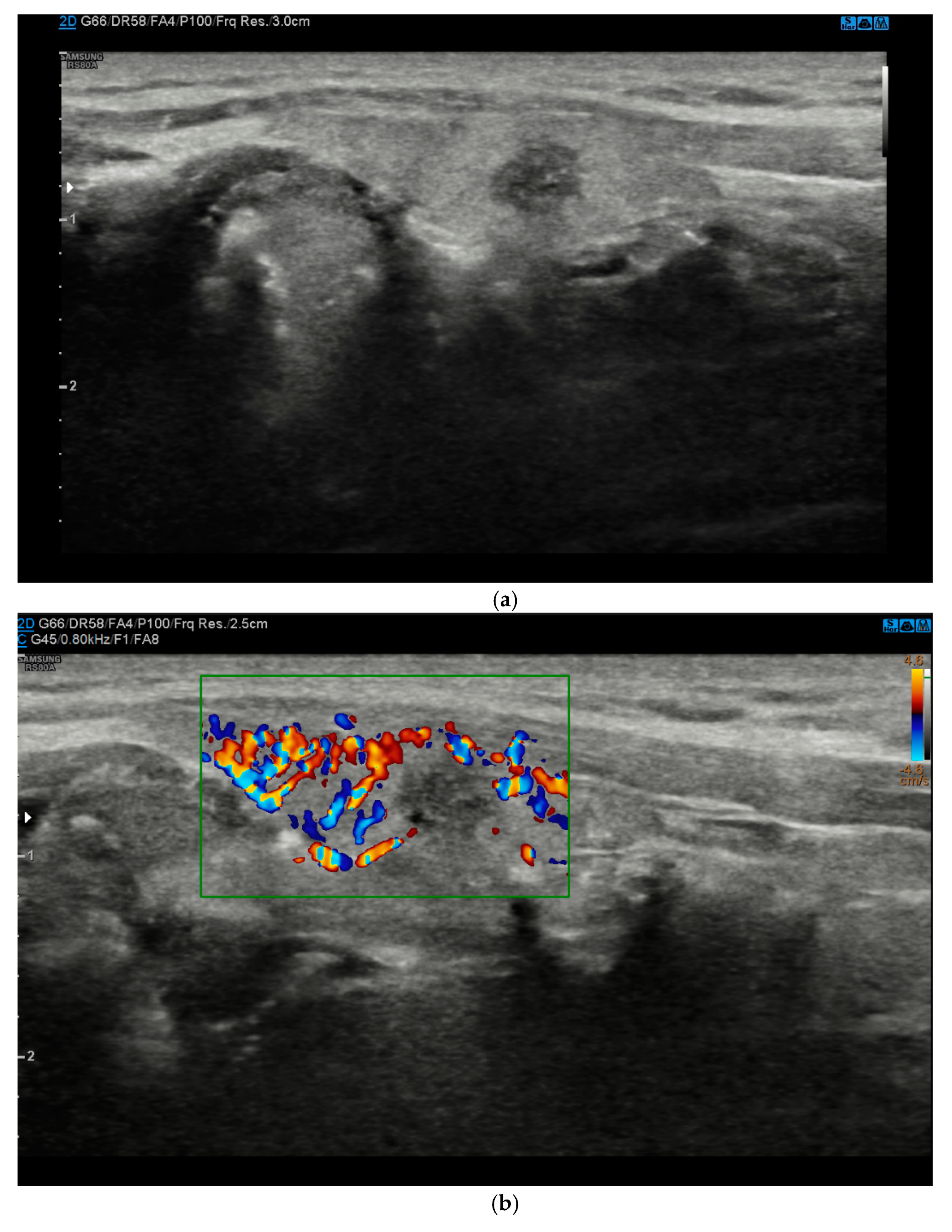 Diagnostics 11 01374 g001a Diagnostics 11 01374 g001a