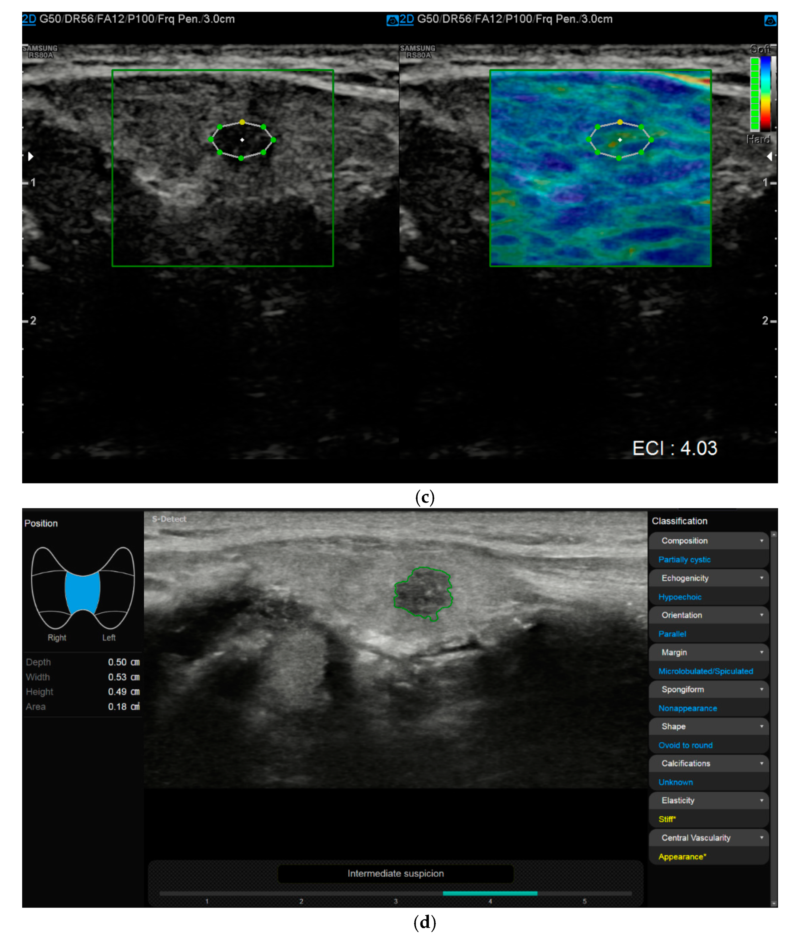 Diagnostics 11 01374 g001b Diagnostics 11 01374 g001b
