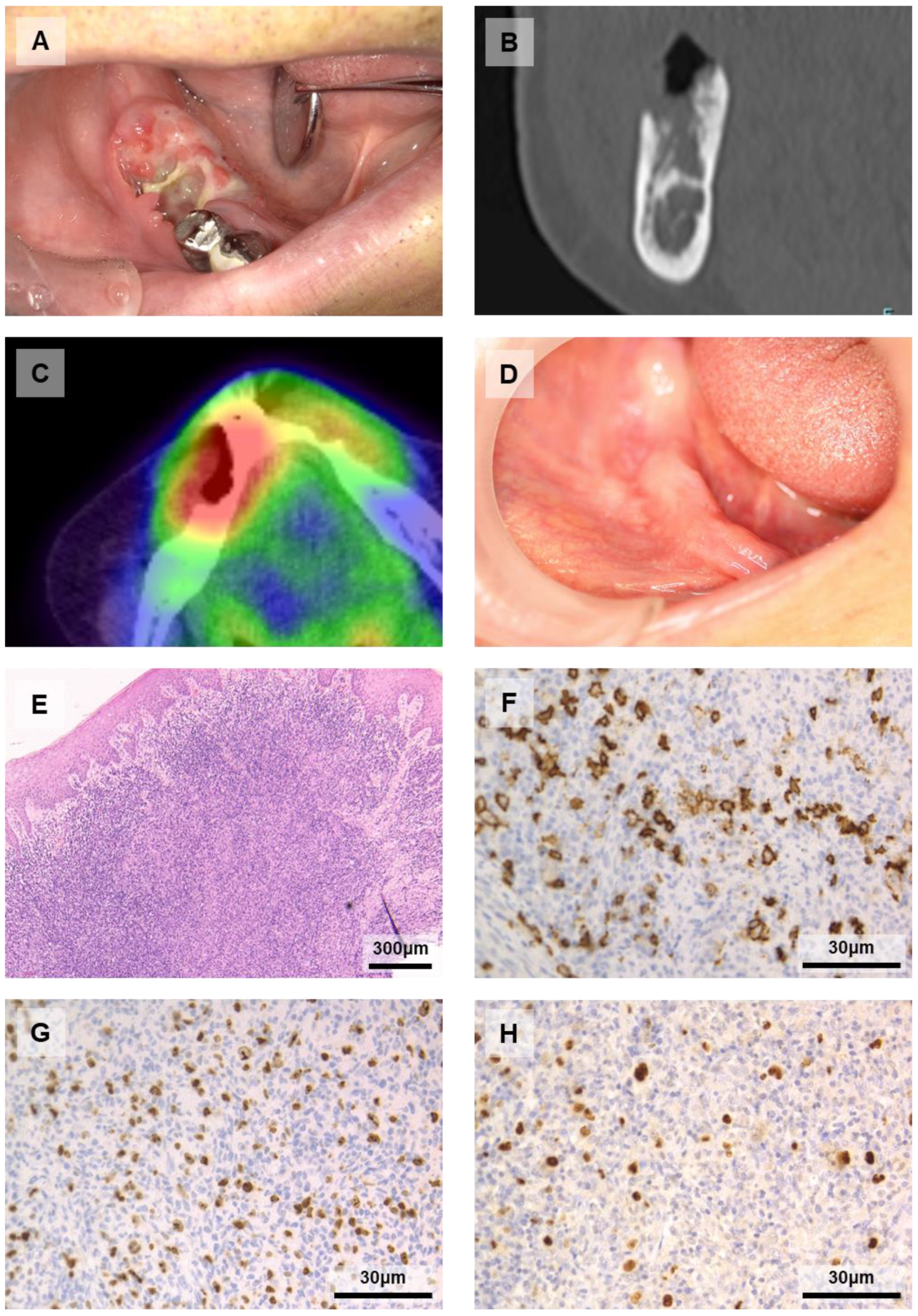 Diagnostics 11 01375 g001
