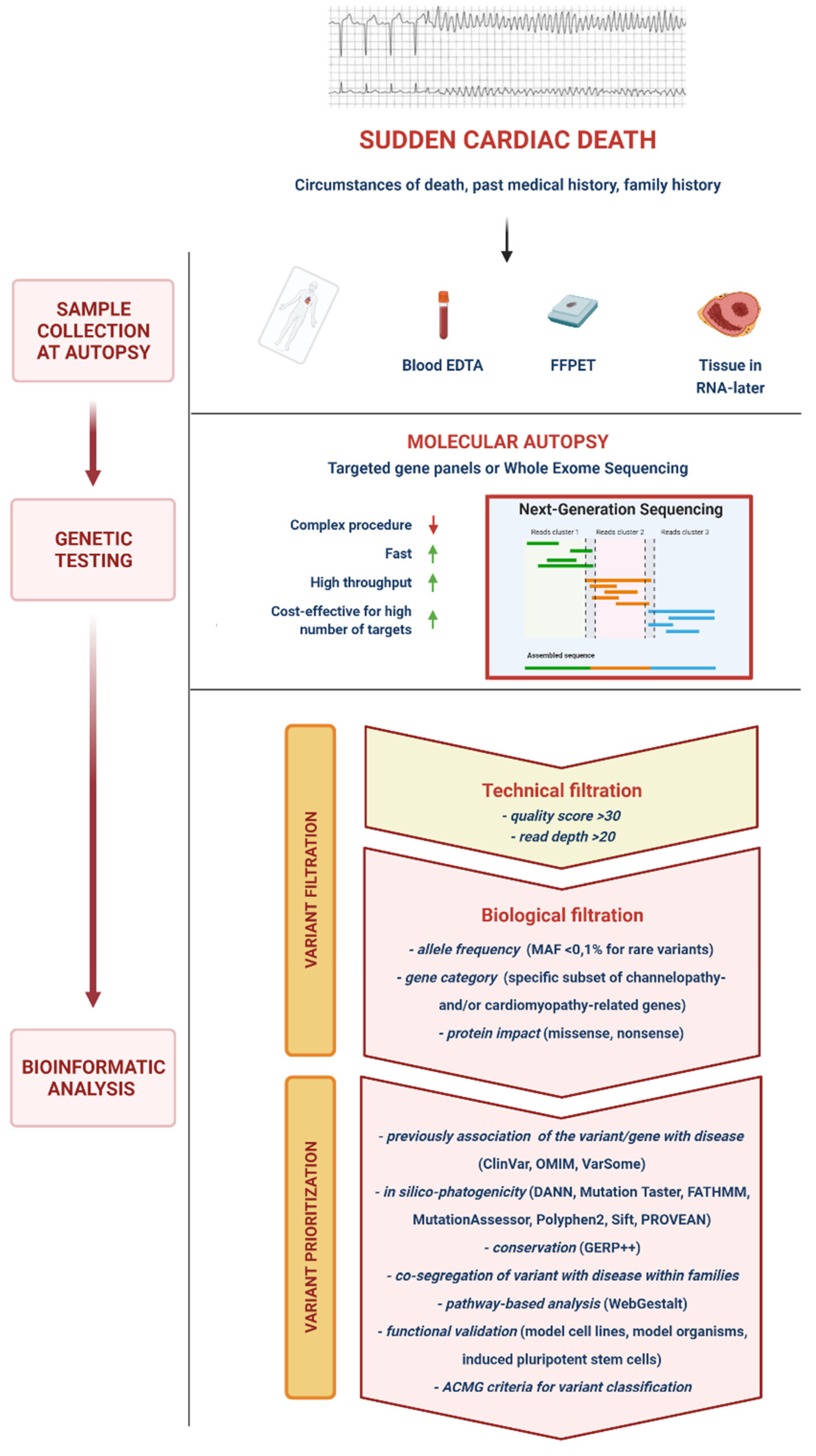 Diagnostics 11 01378 g001 Diagnostics 11 01378 g001