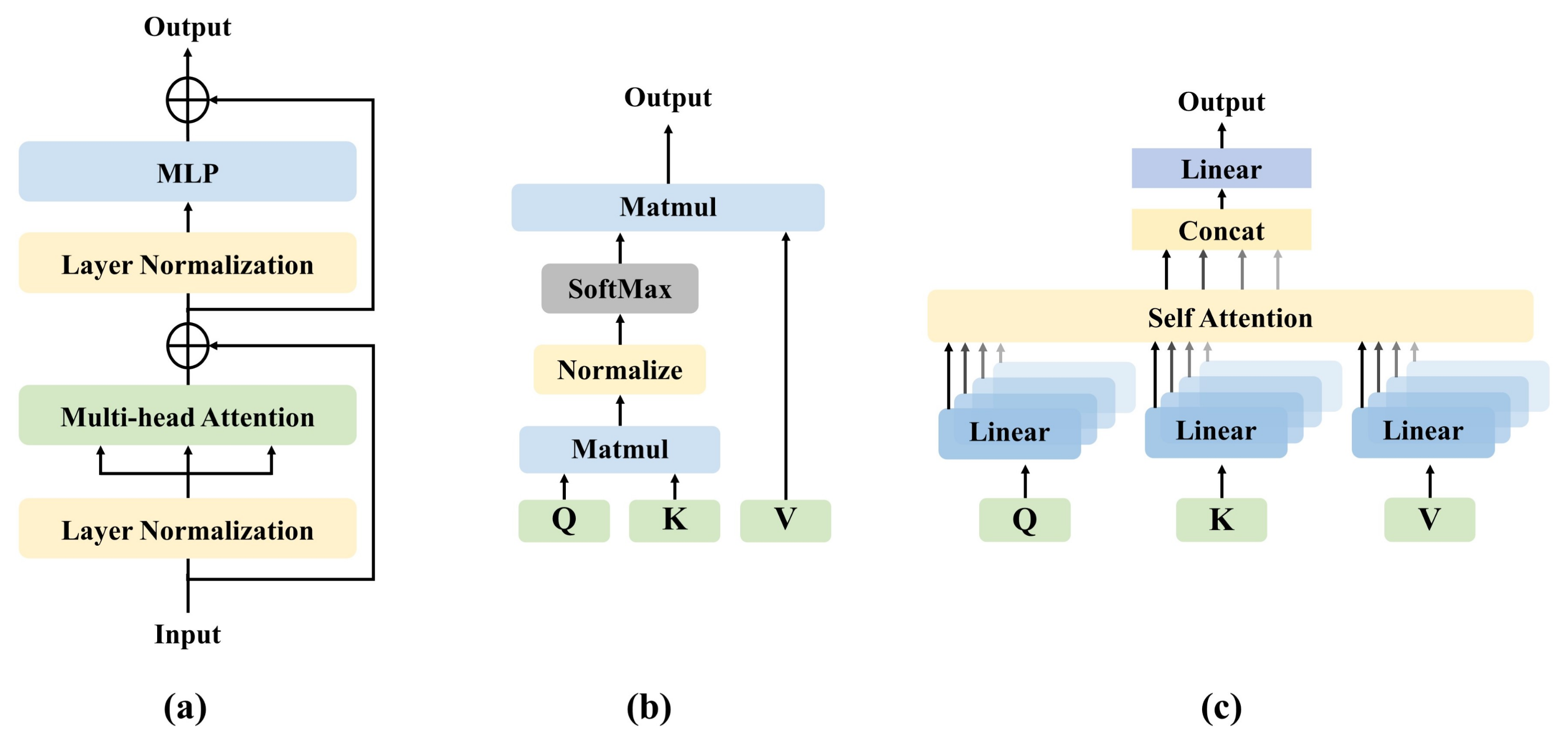 Diagnostics 11 01384 g003