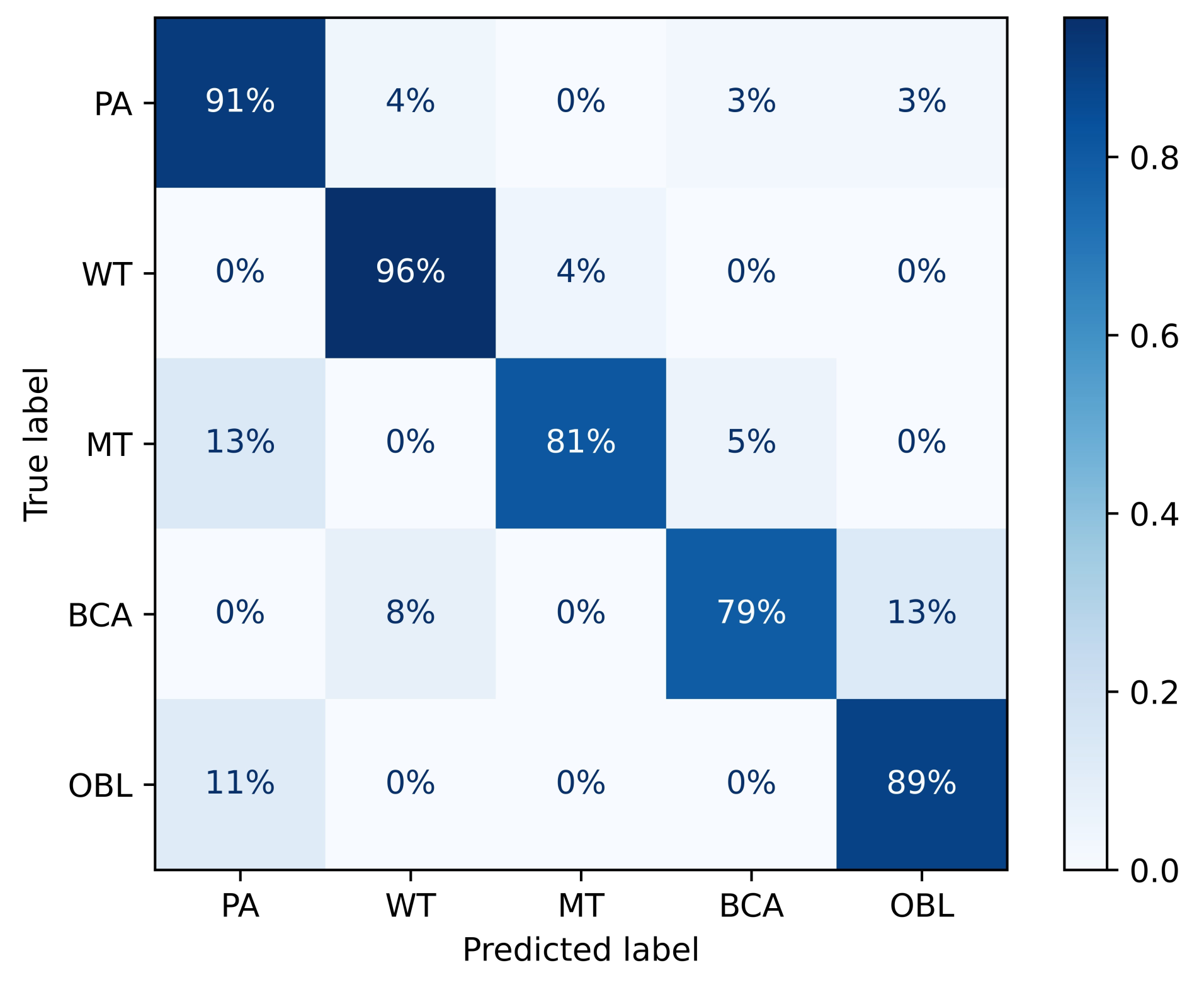 Diagnostics 11 01384 g005