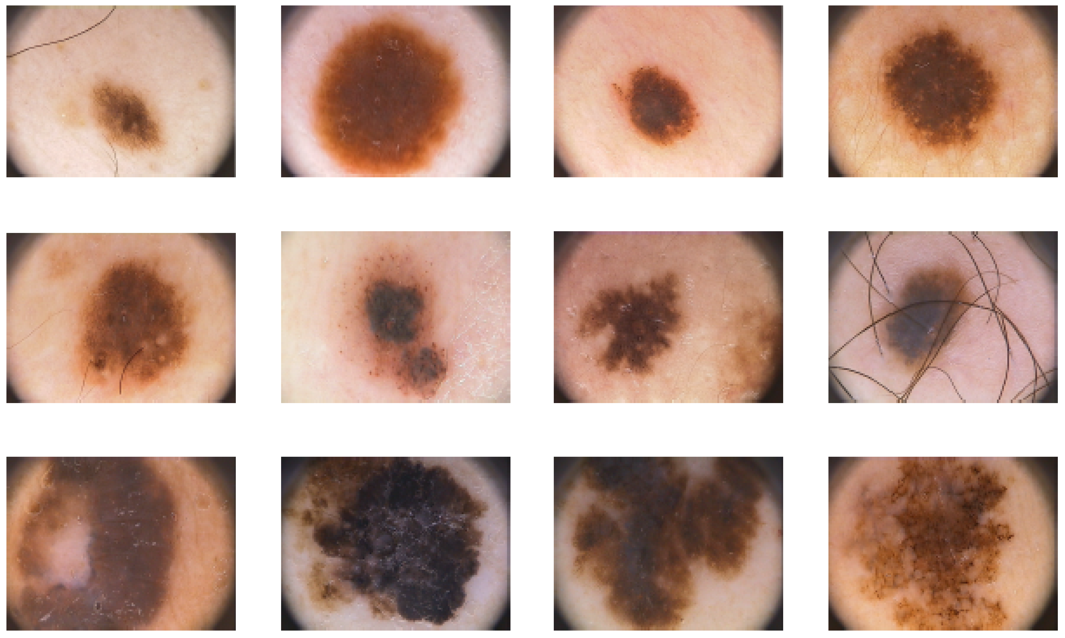 Diagnostics 11 01390 g003