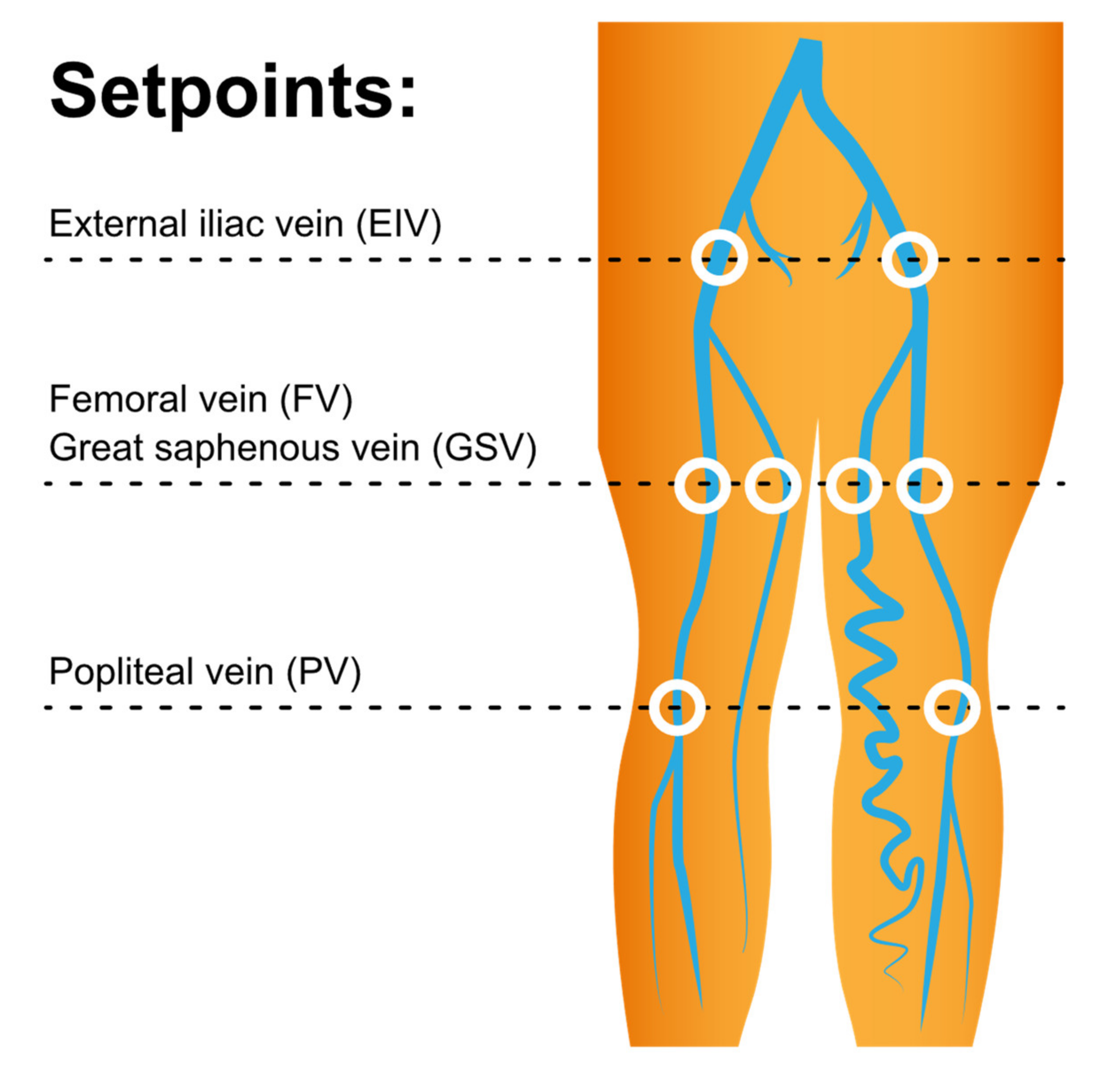 Diagnostics 11 01392 g002