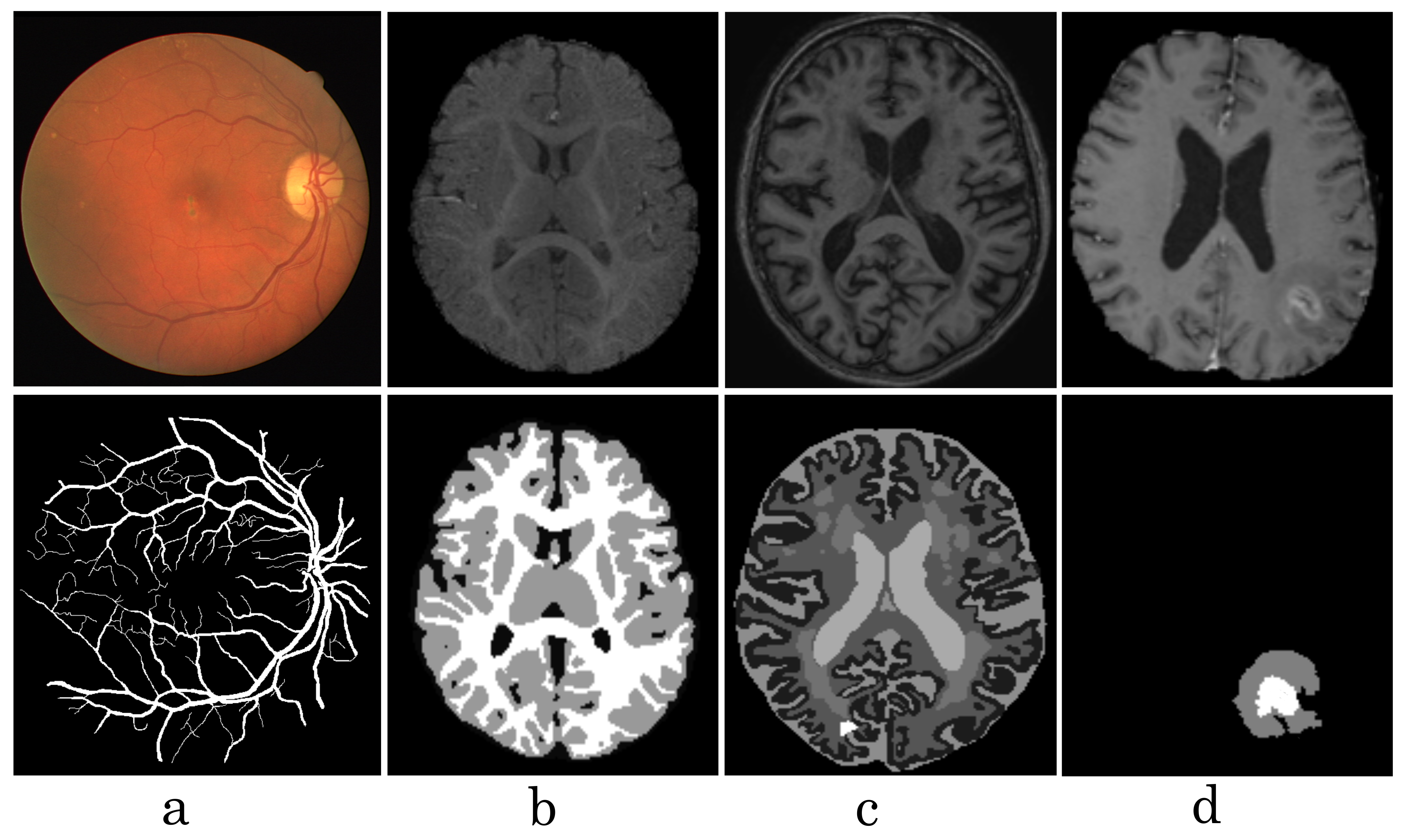 Diagnostics 11 01393 g001
