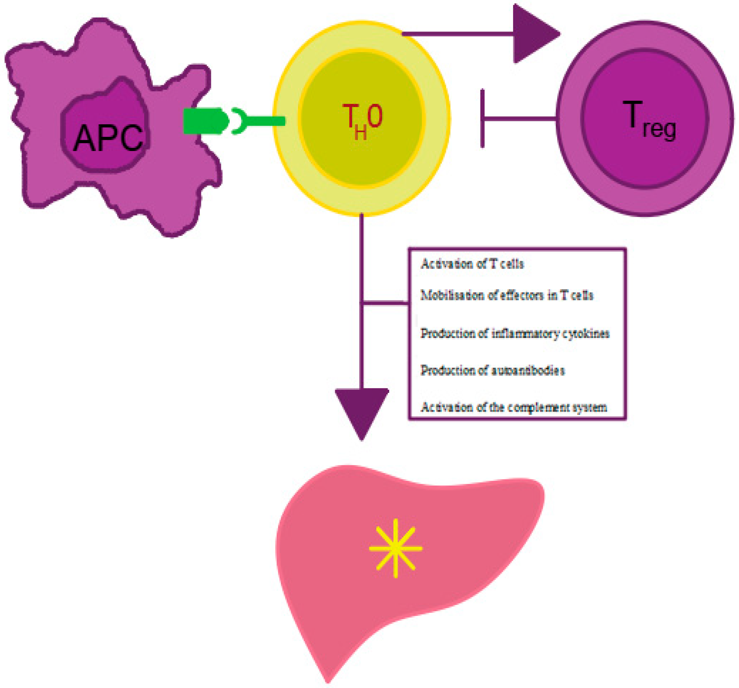 Diagnostics 11 01418 g001