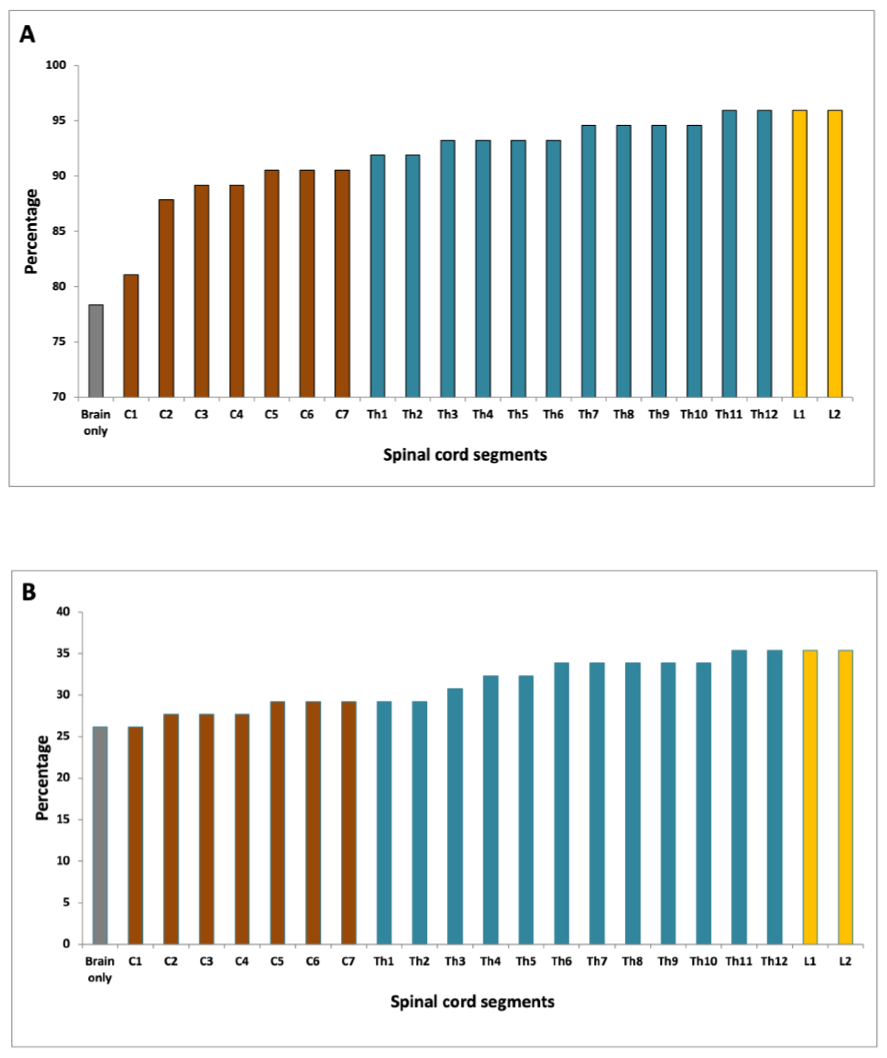 Diagnostics 11 01424 g004