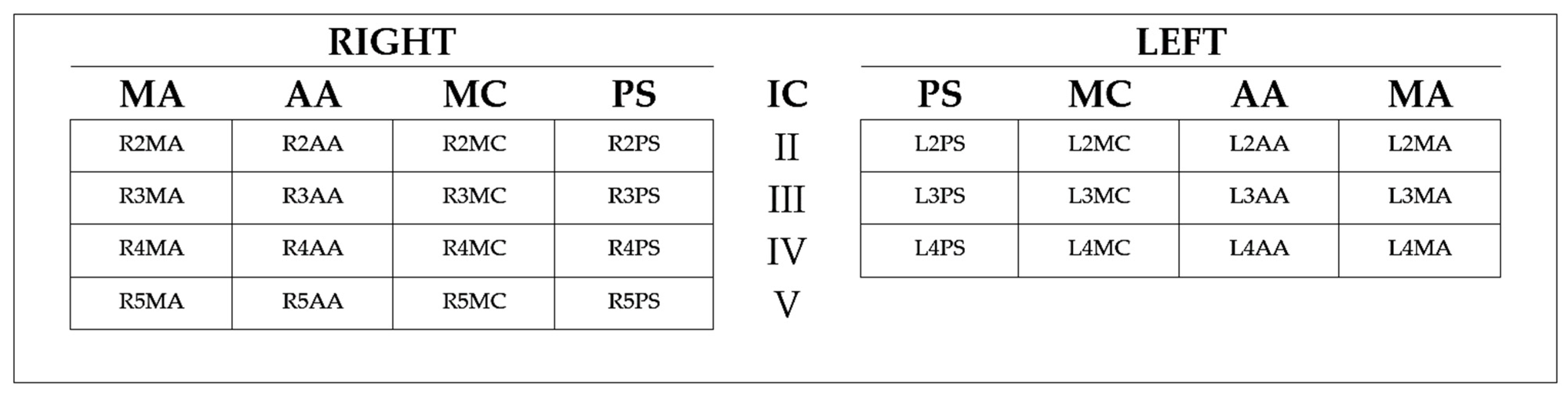 Diagnostics 11 01444 g001