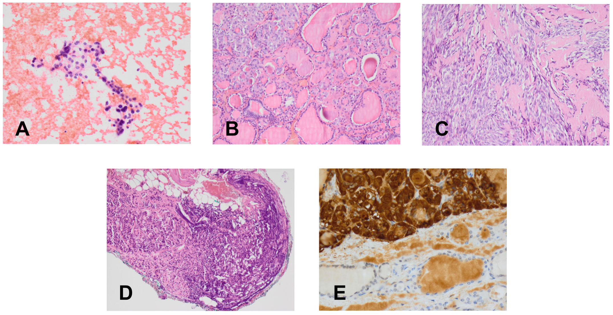 Diagnostics 11 01448 g004