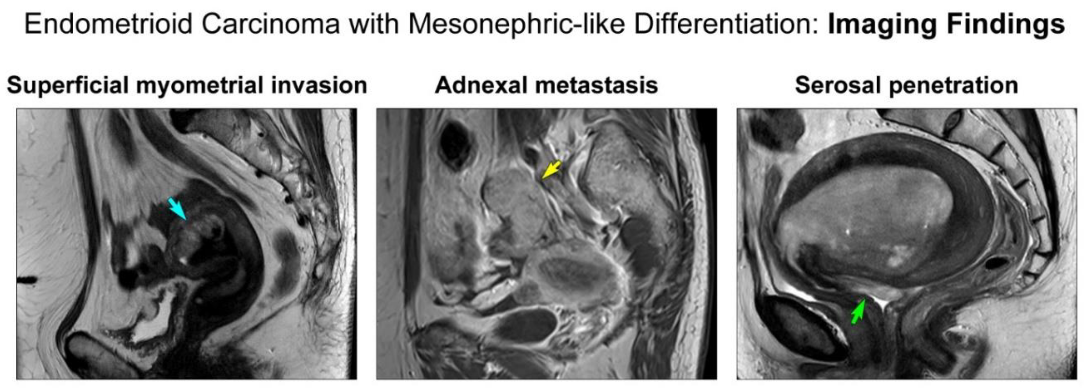 Diagnostics 11 01450 g001 Diagnostics 11 01450 g001