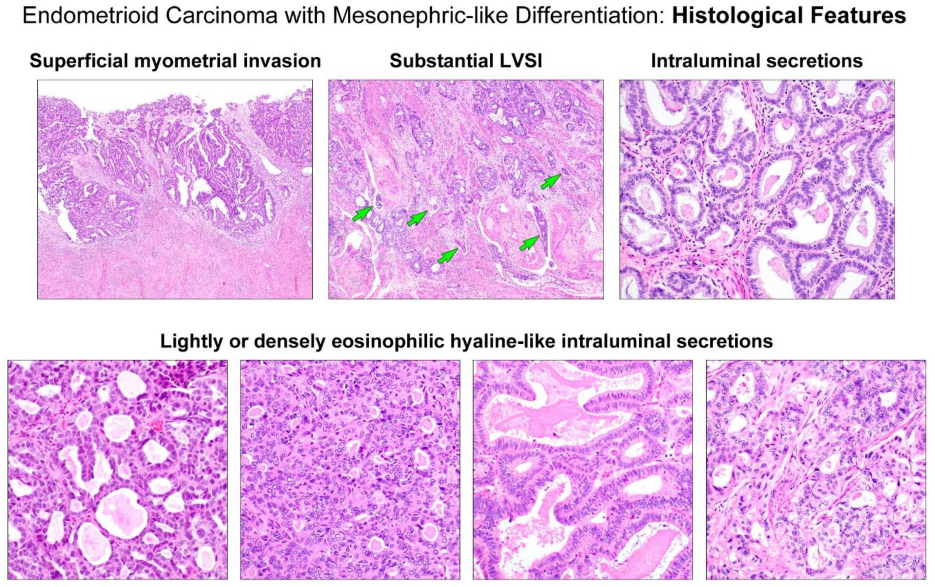 Diagnostics 11 01450 g002 Diagnostics 11 01450 g002