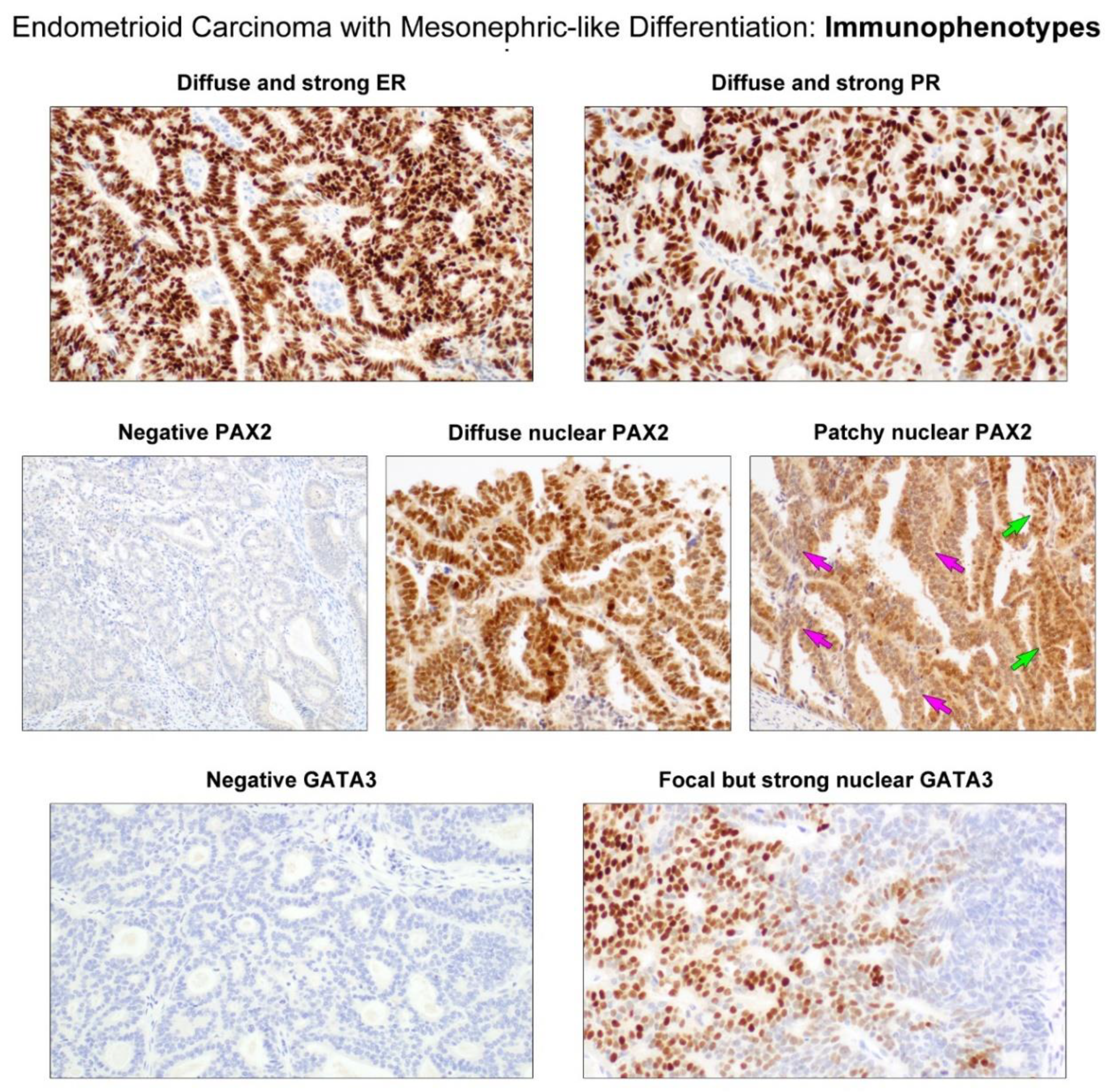 Diagnostics 11 01450 g004 Diagnostics 11 01450 g004