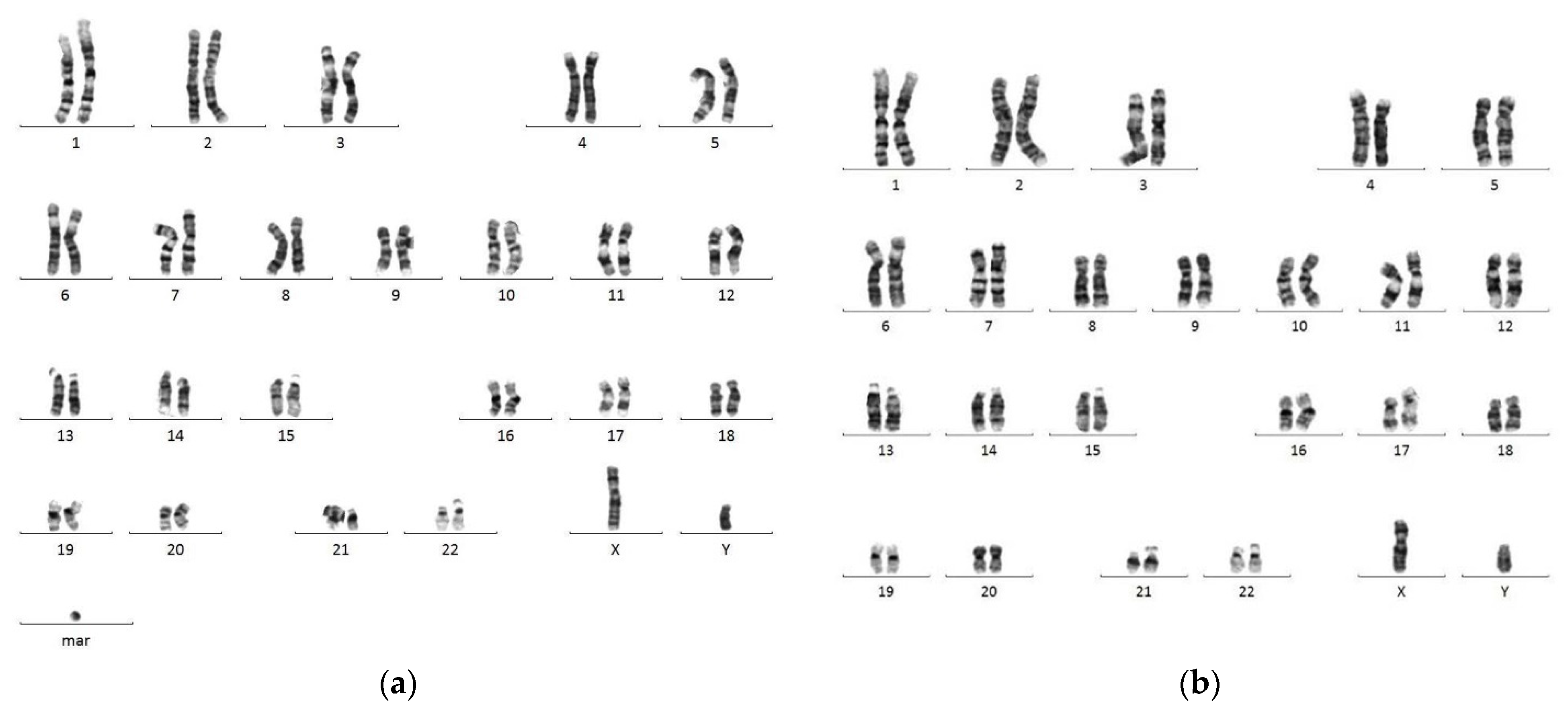 Diagnostics 11 01457 g001 Diagnostics 11 01457 g001