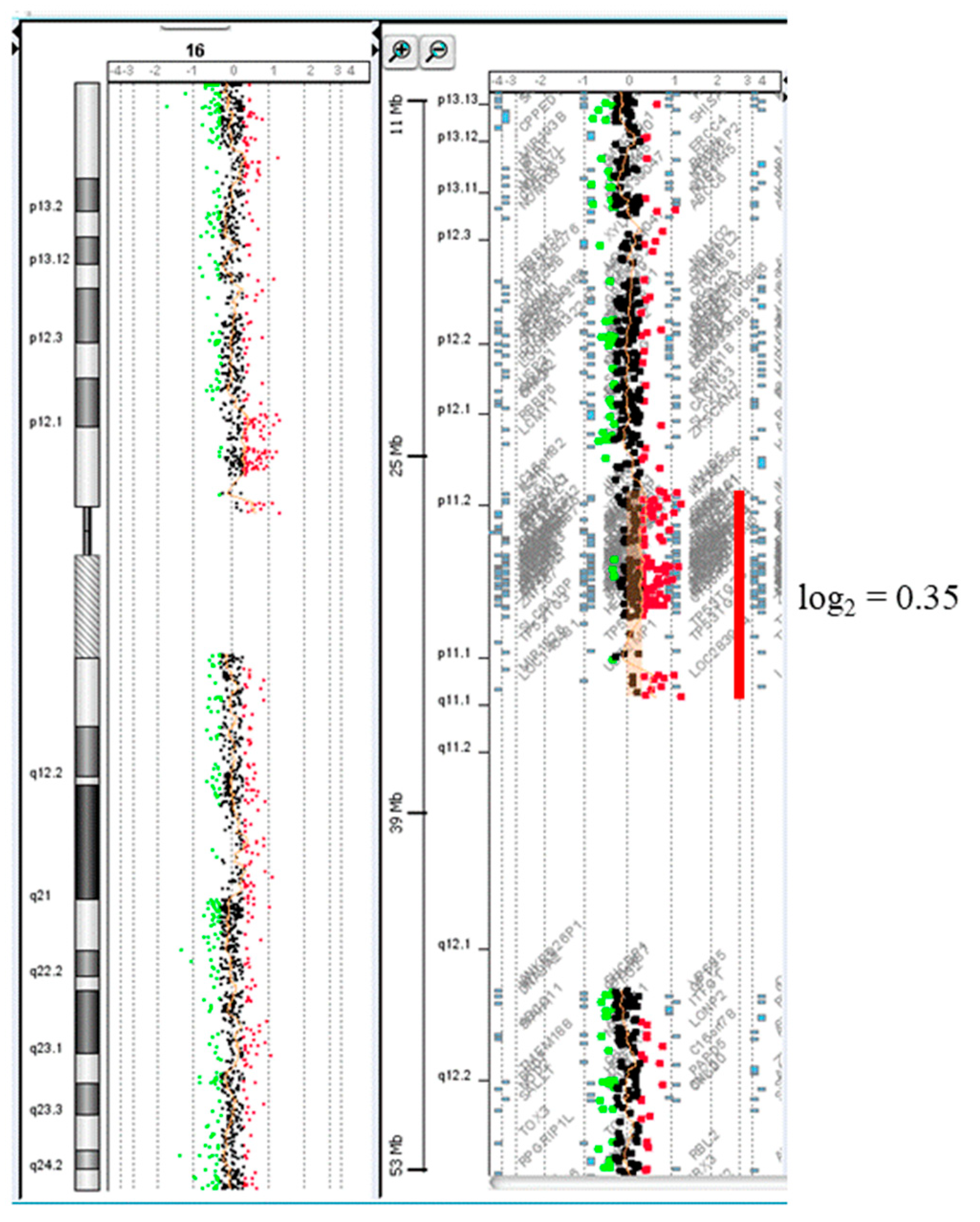 Diagnostics 11 01457 g004 Diagnostics 11 01457 g004