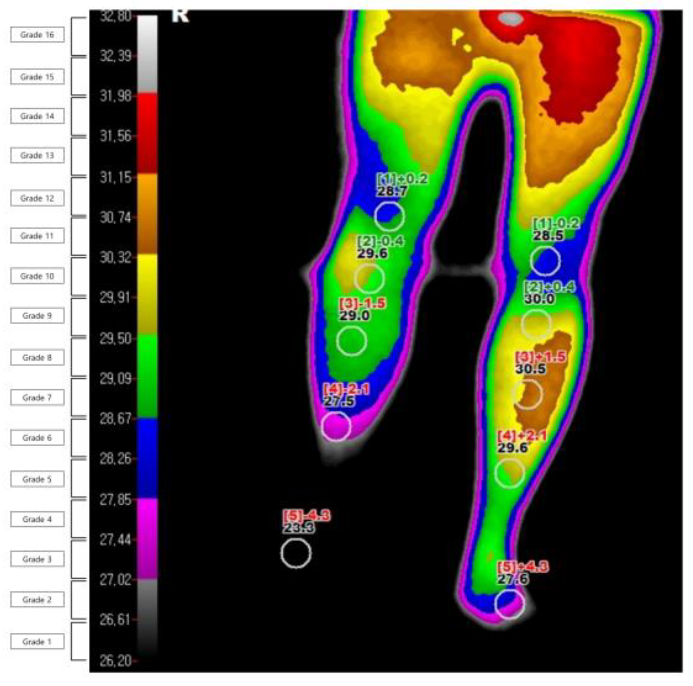 Diagnostics 11 01459 g002