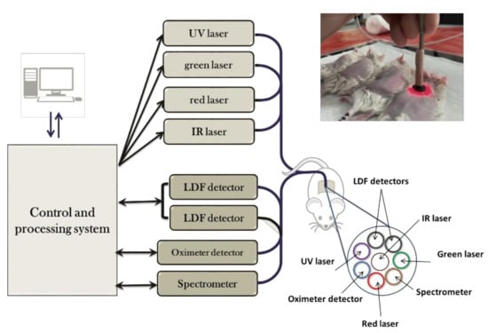 Diagnostics 11 01464 g0a2 550