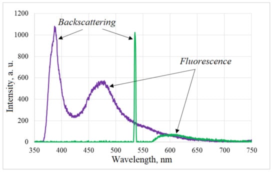 Diagnostics 11 01464 g0a3 550