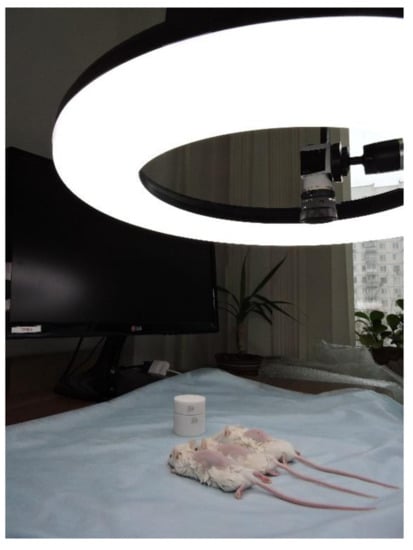 Diagnostics 11 01464 g0a4 550