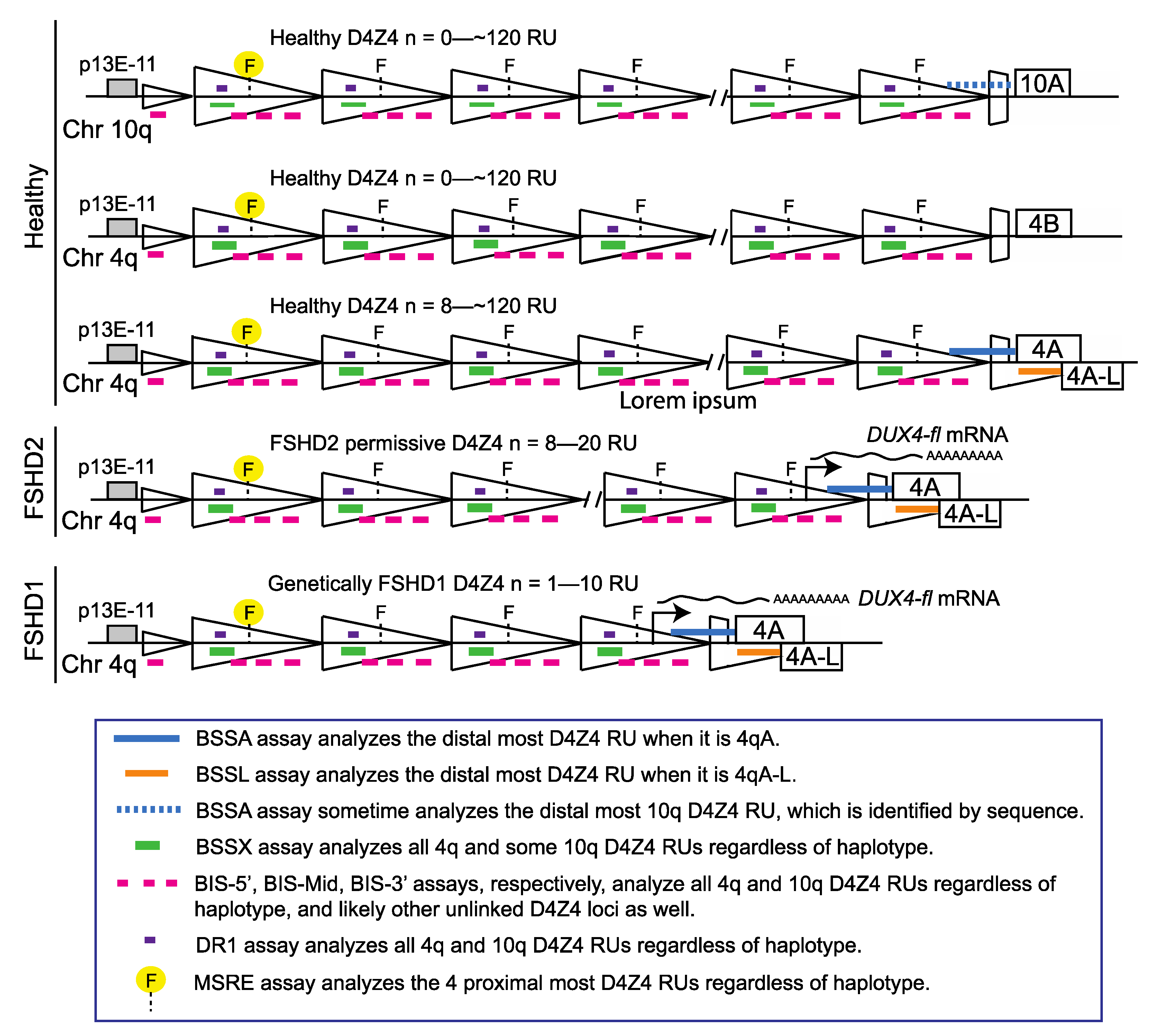 Diagnostics 11 01469 g001
