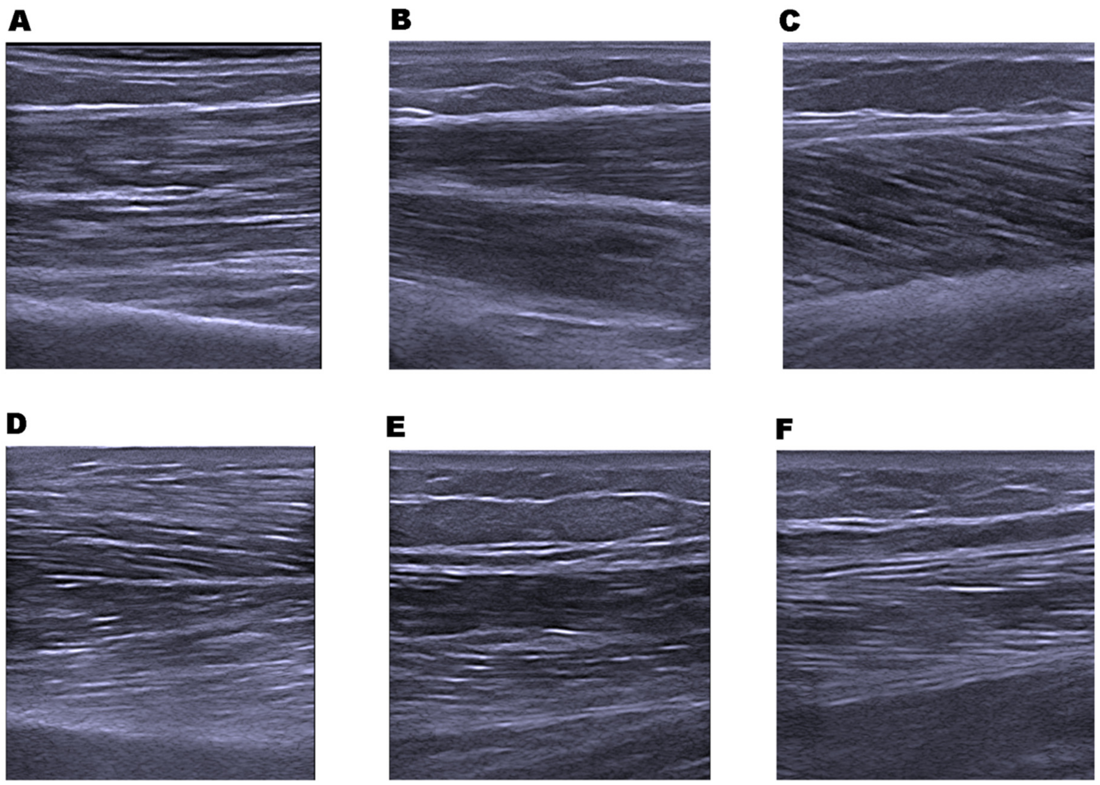 Diagnostics 11 01471 g001