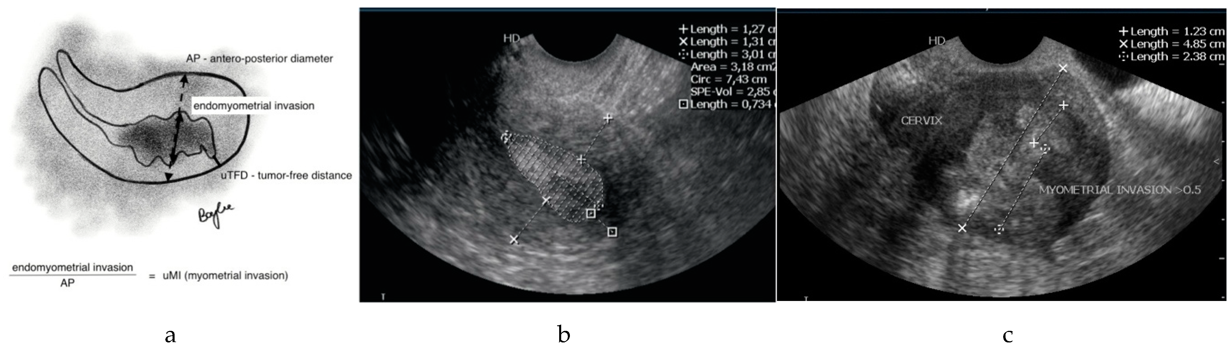 Diagnostics 11 01472 g001