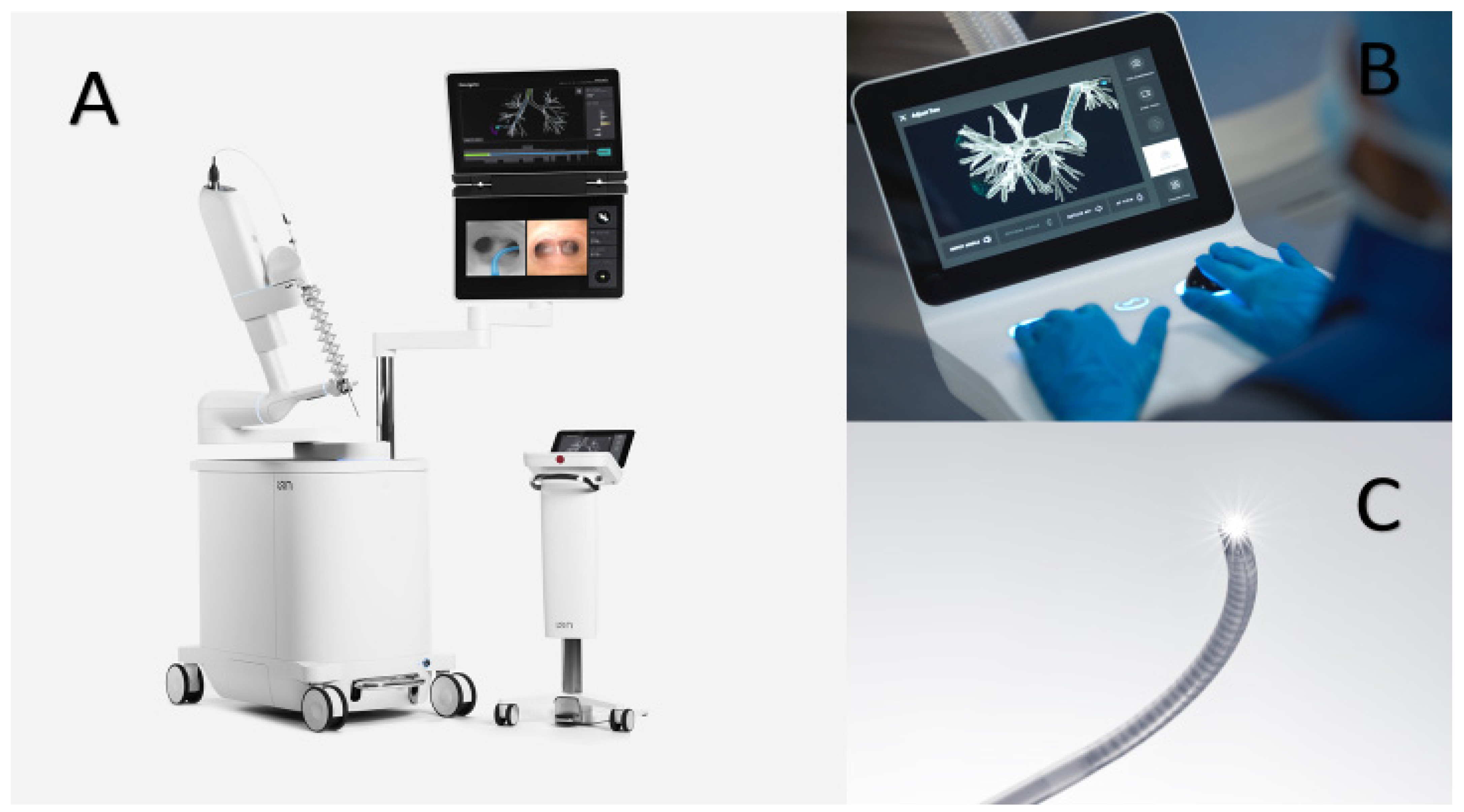 Diagnostics 11 01479 g002