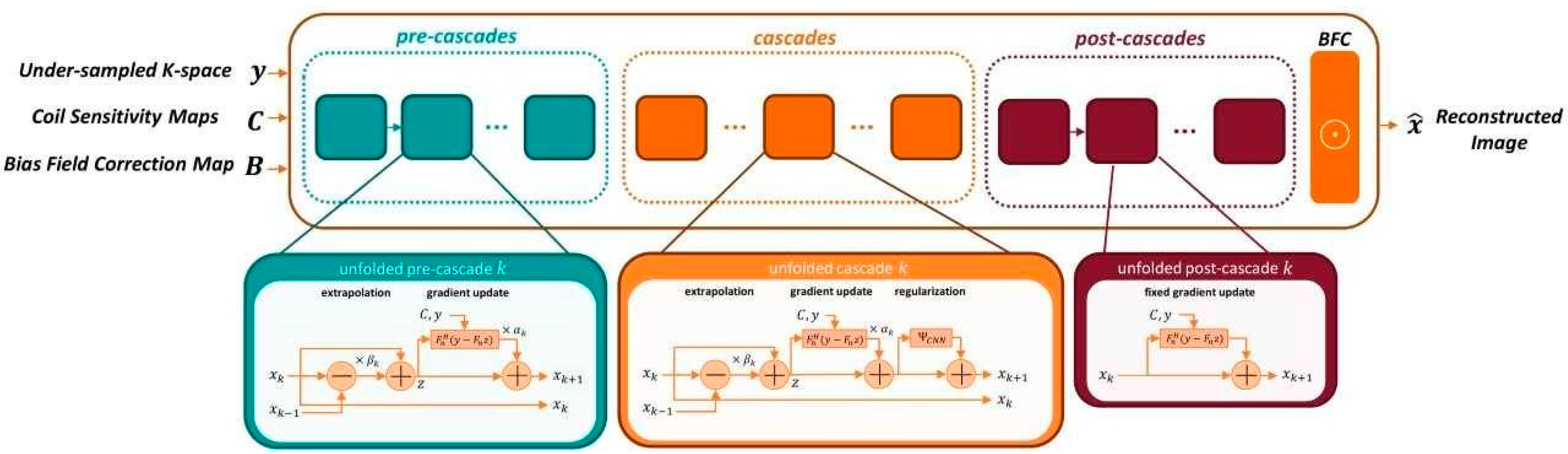 Diagnostics 11 01484 g002