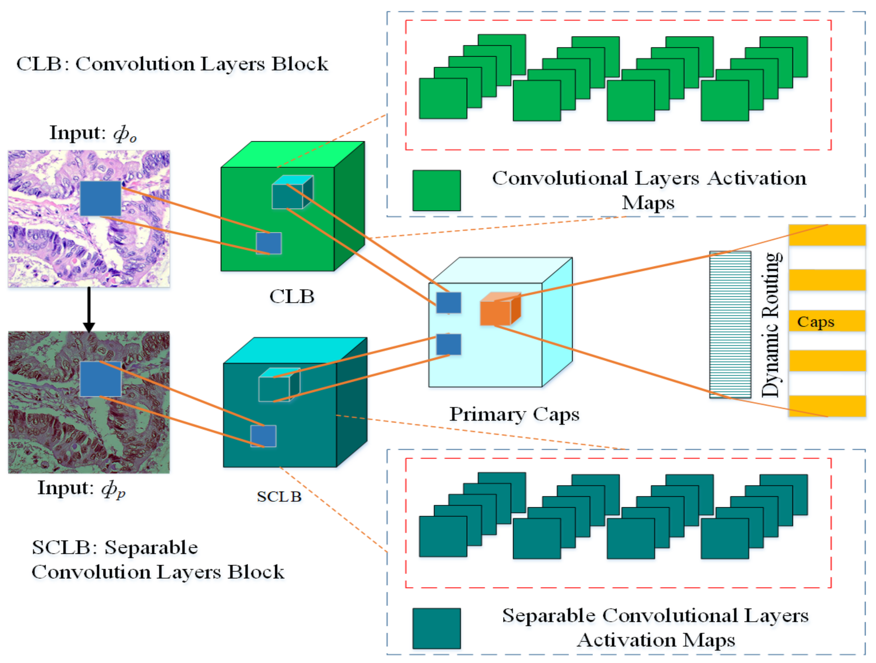 Diagnostics 11 01485 g002